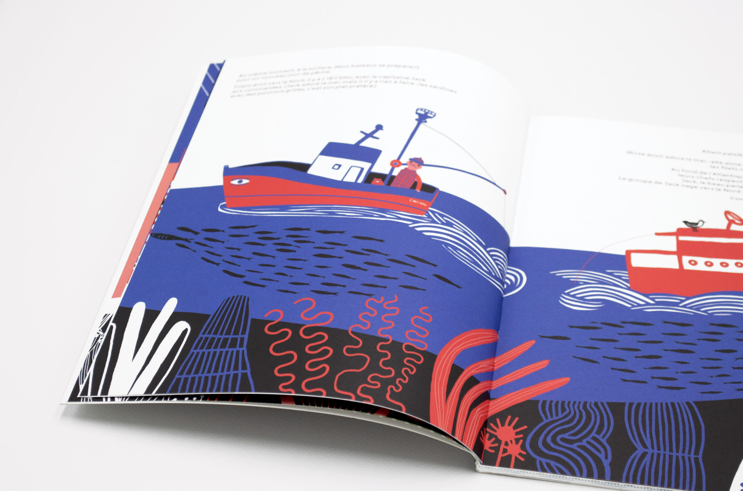 N° Sardine N° Sardine