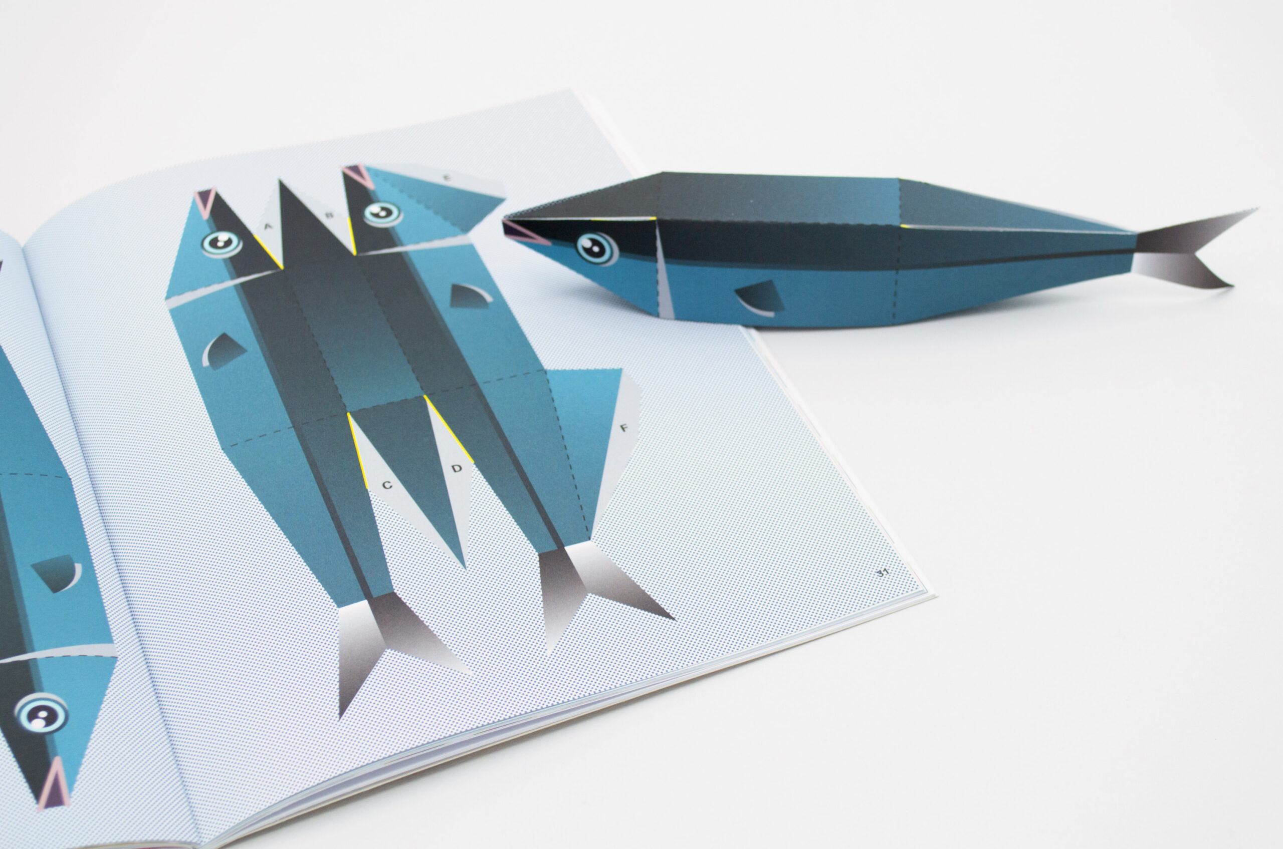 N° Sardine N° Sardine