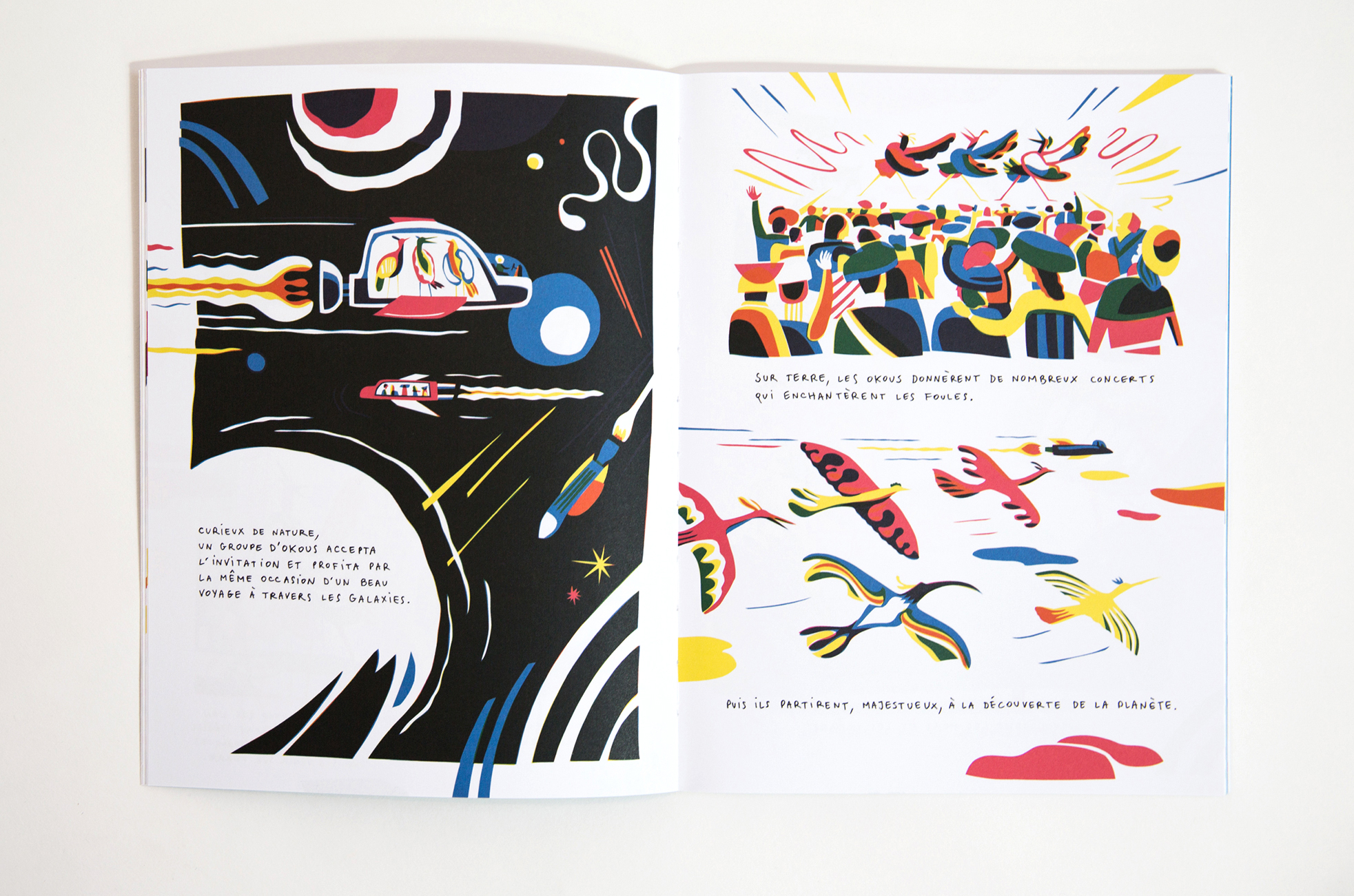 N° Oiseau N° Oiseau