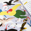 N° Oiseau