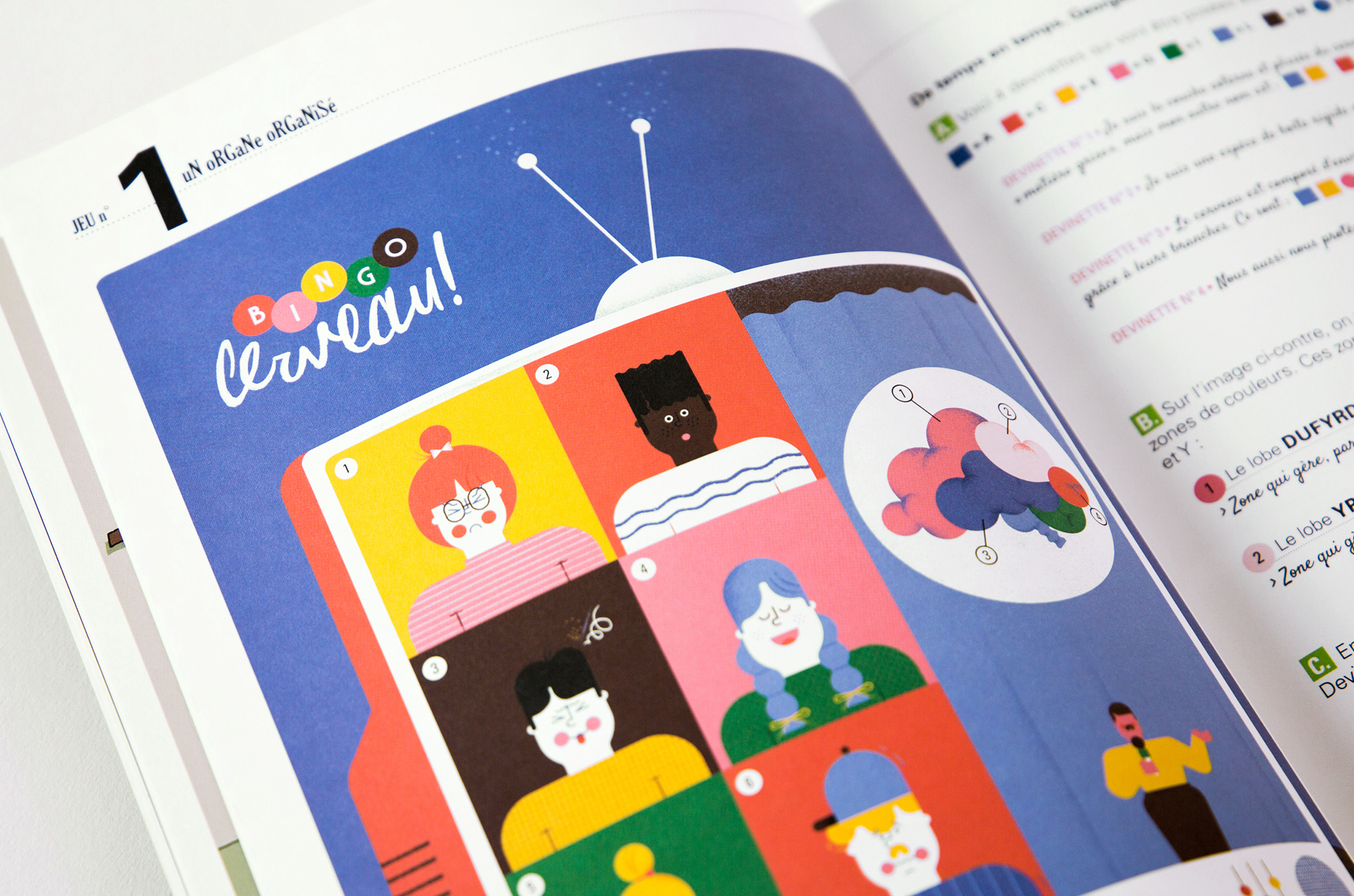 N° Cerveau N° Cerveau