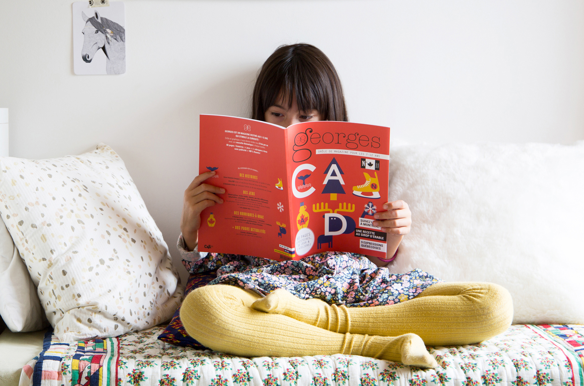 N° Canada N° Canada