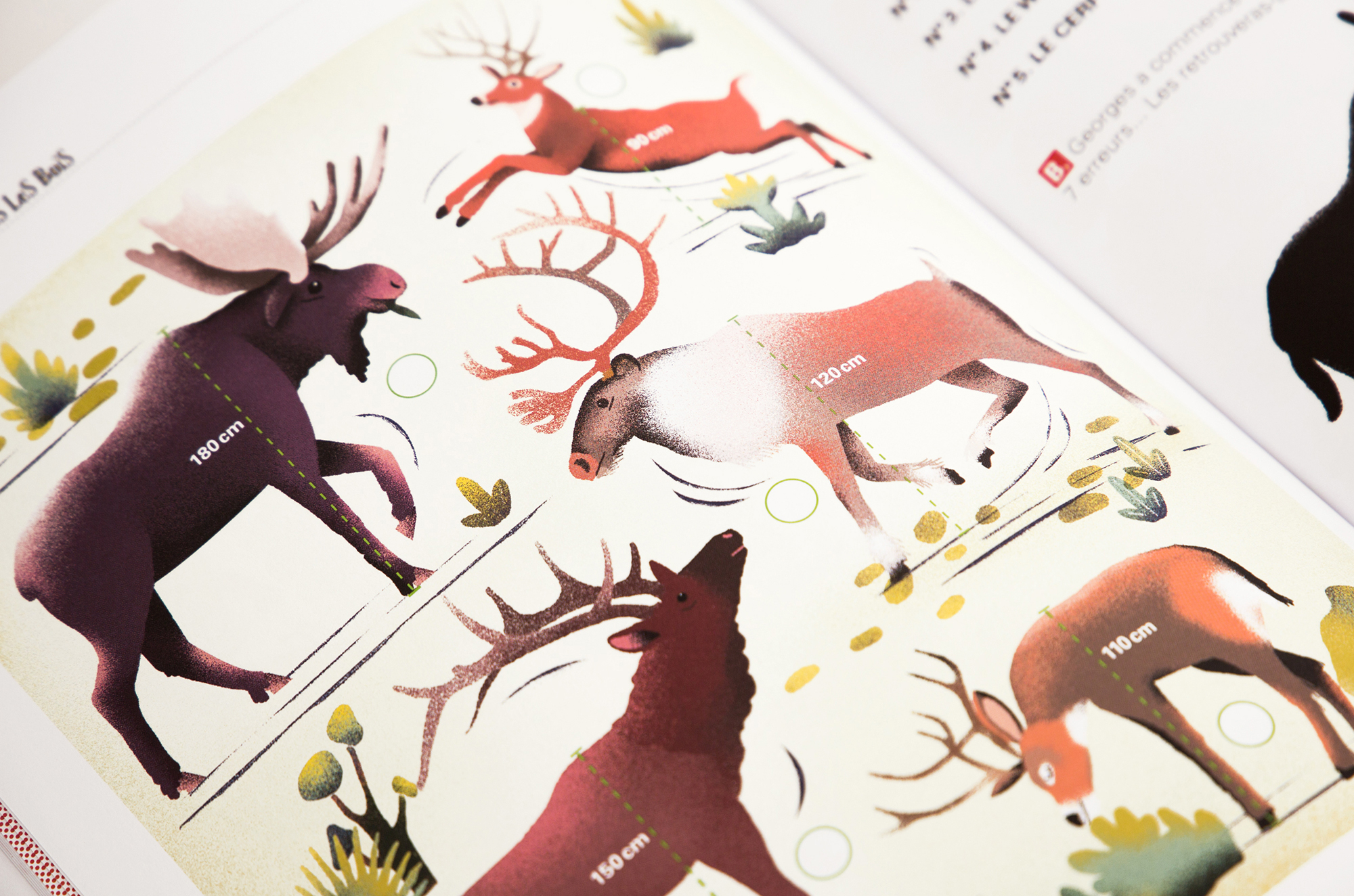 N° Canada N° Canada