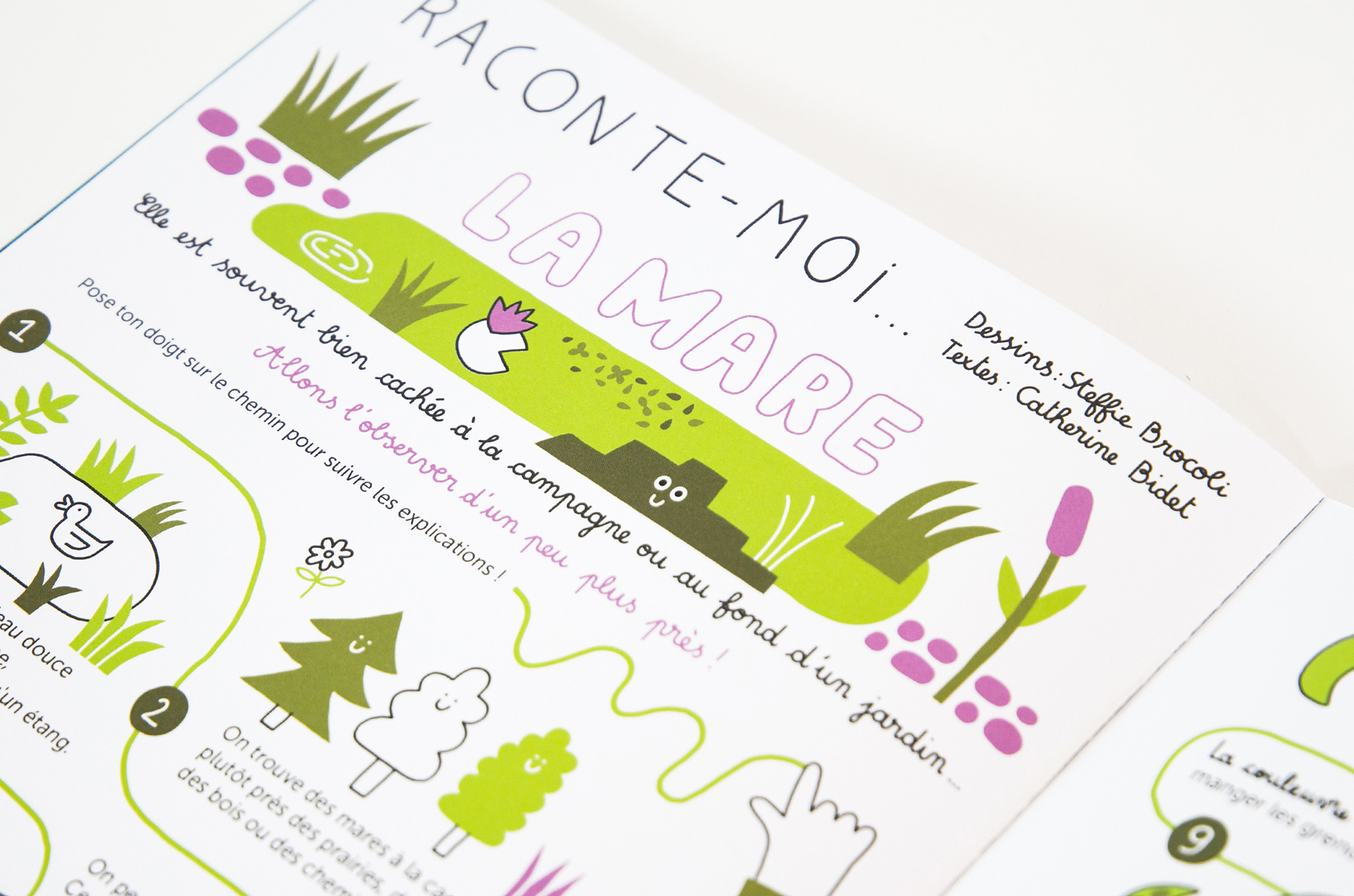 N° C'est la fête à la grenouille N° C'est la fête à la grenouille