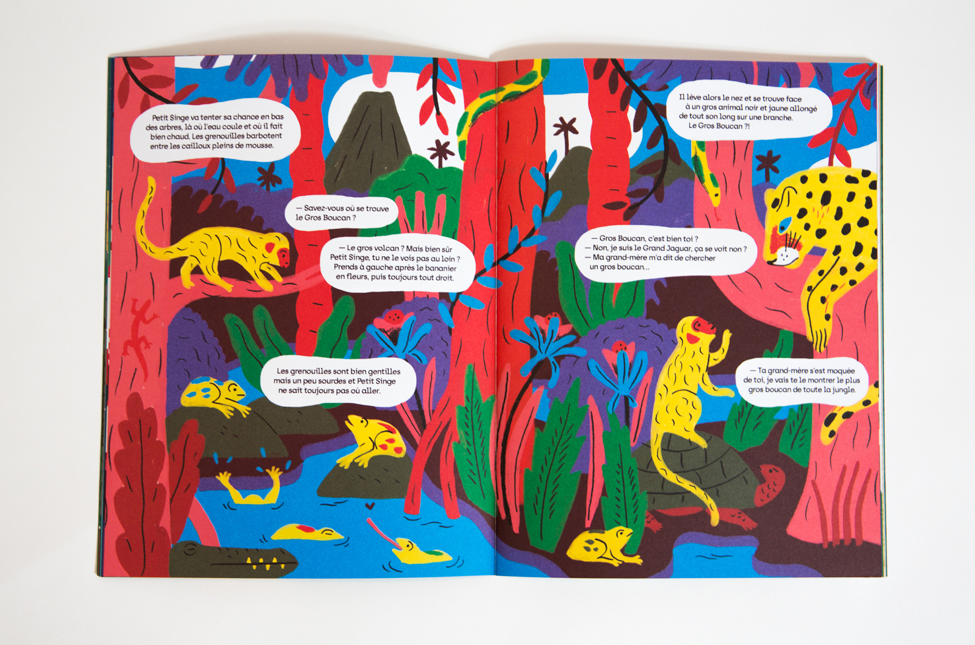 N° Les rois de la jungle N° Les rois de la jungle