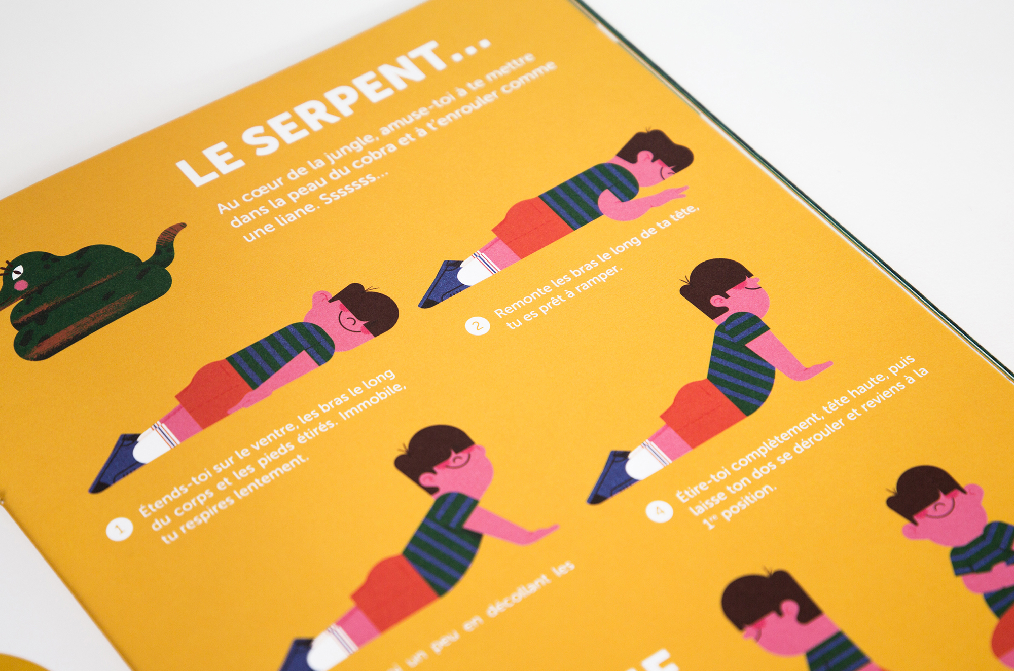 N° Les rois de la jungle N° Les rois de la jungle