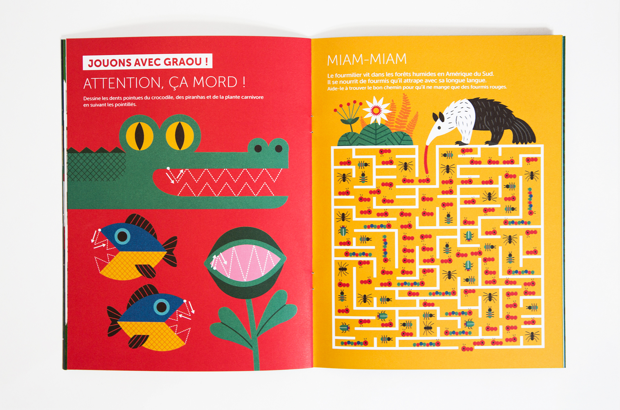 N° Les rois de la jungle N° Les rois de la jungle