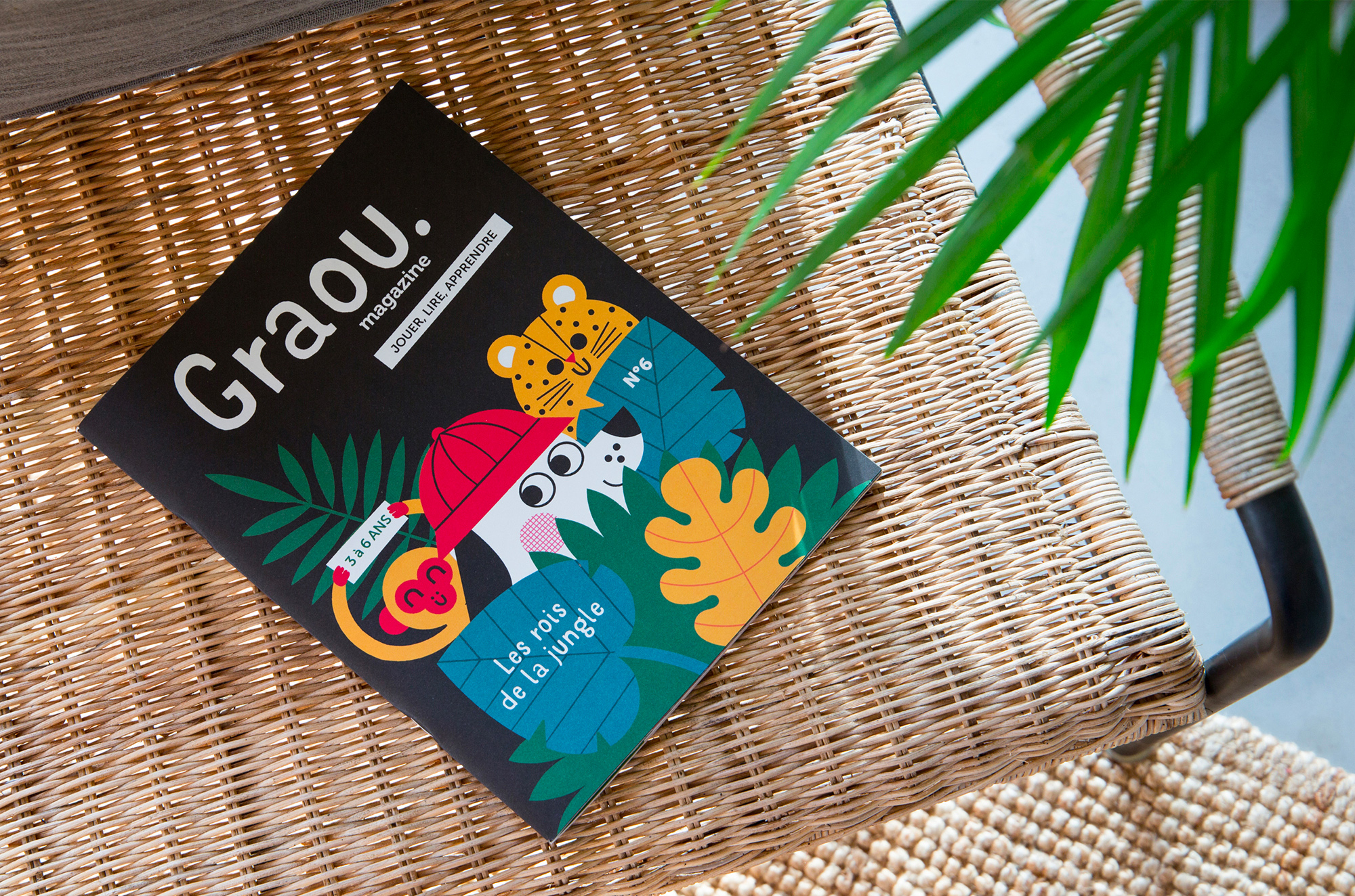 N° Les rois de la jungle N° Les rois de la jungle