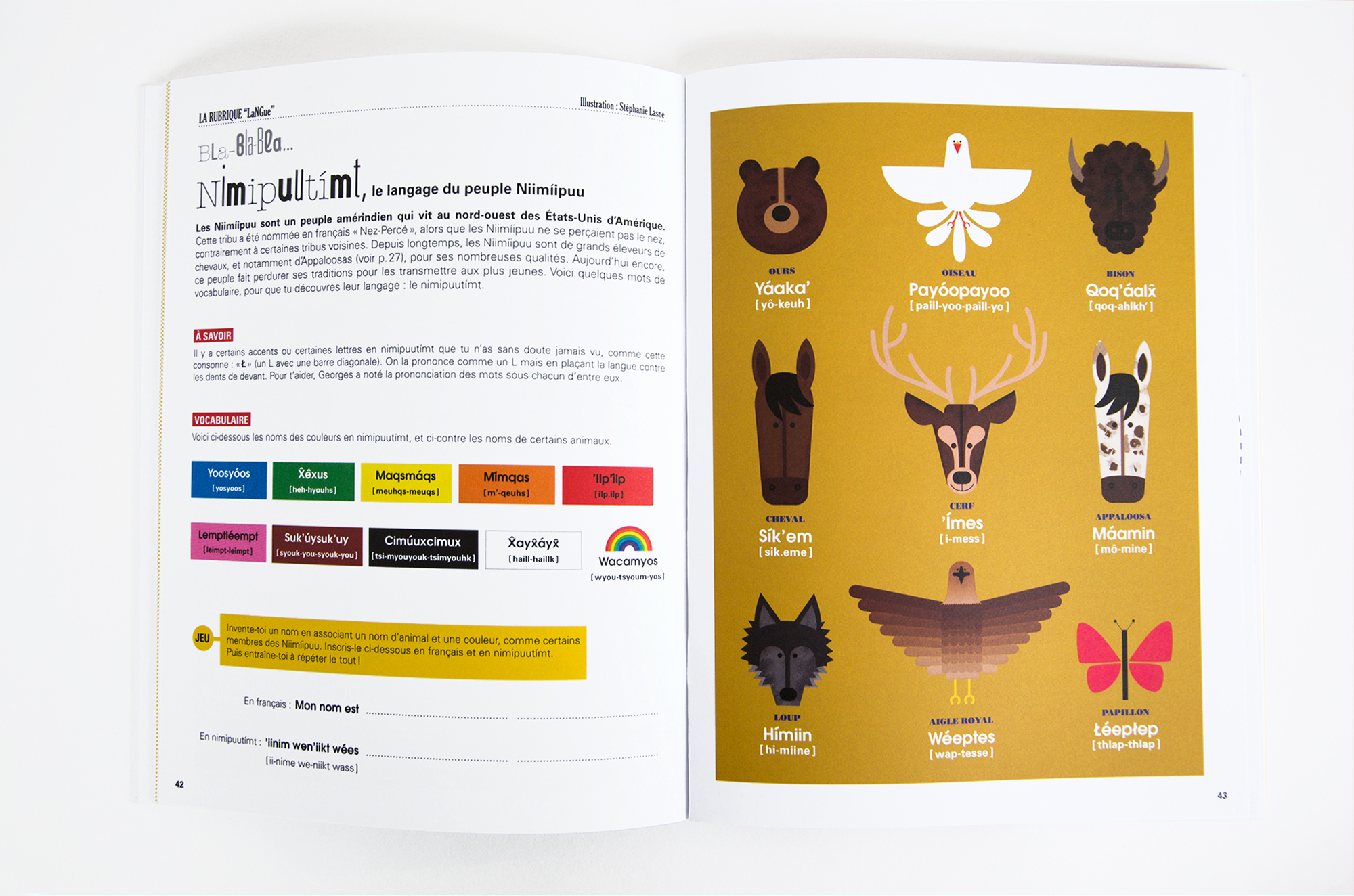 N° Cheval N° Cheval