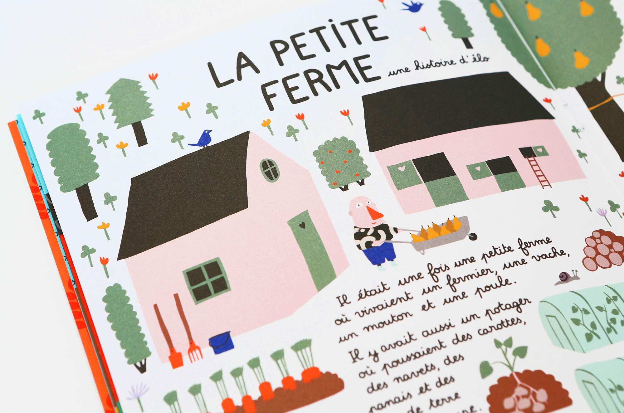 N° La ferme N° La ferme