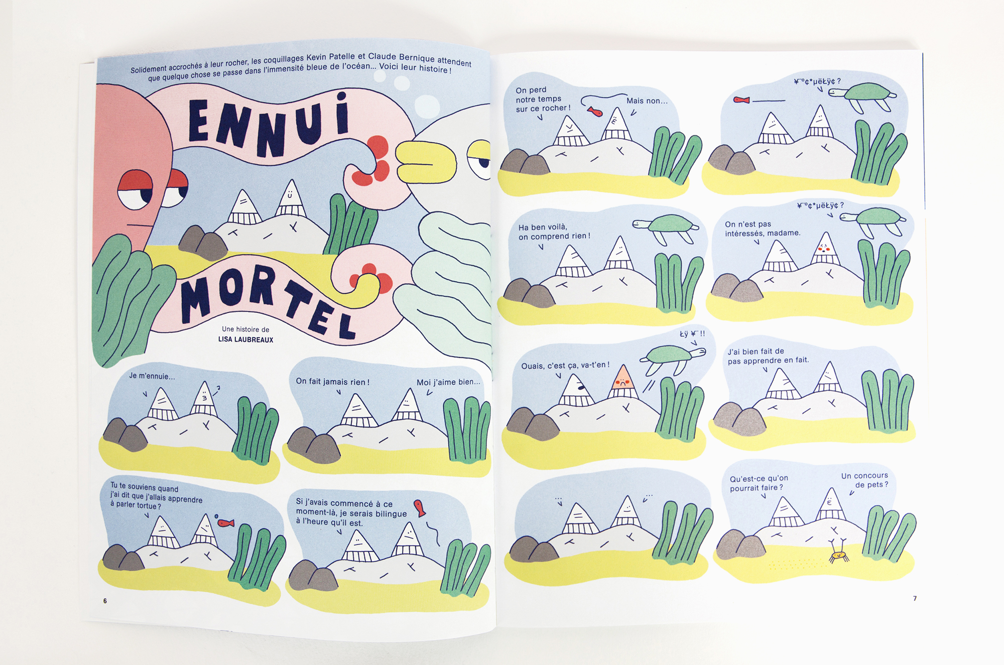 N° Coquillage N° Coquillage