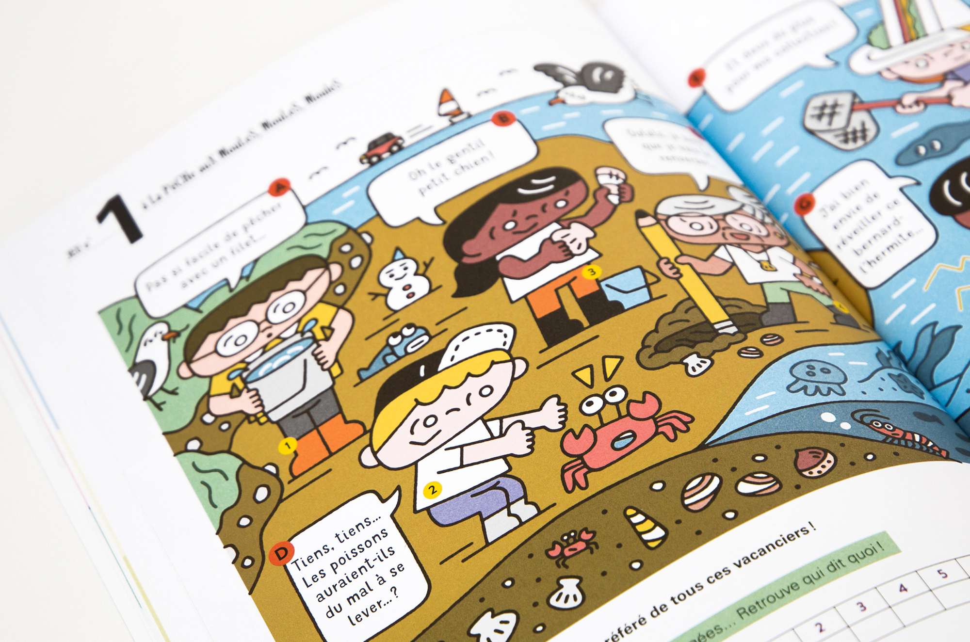 N° Coquillage N° Coquillage