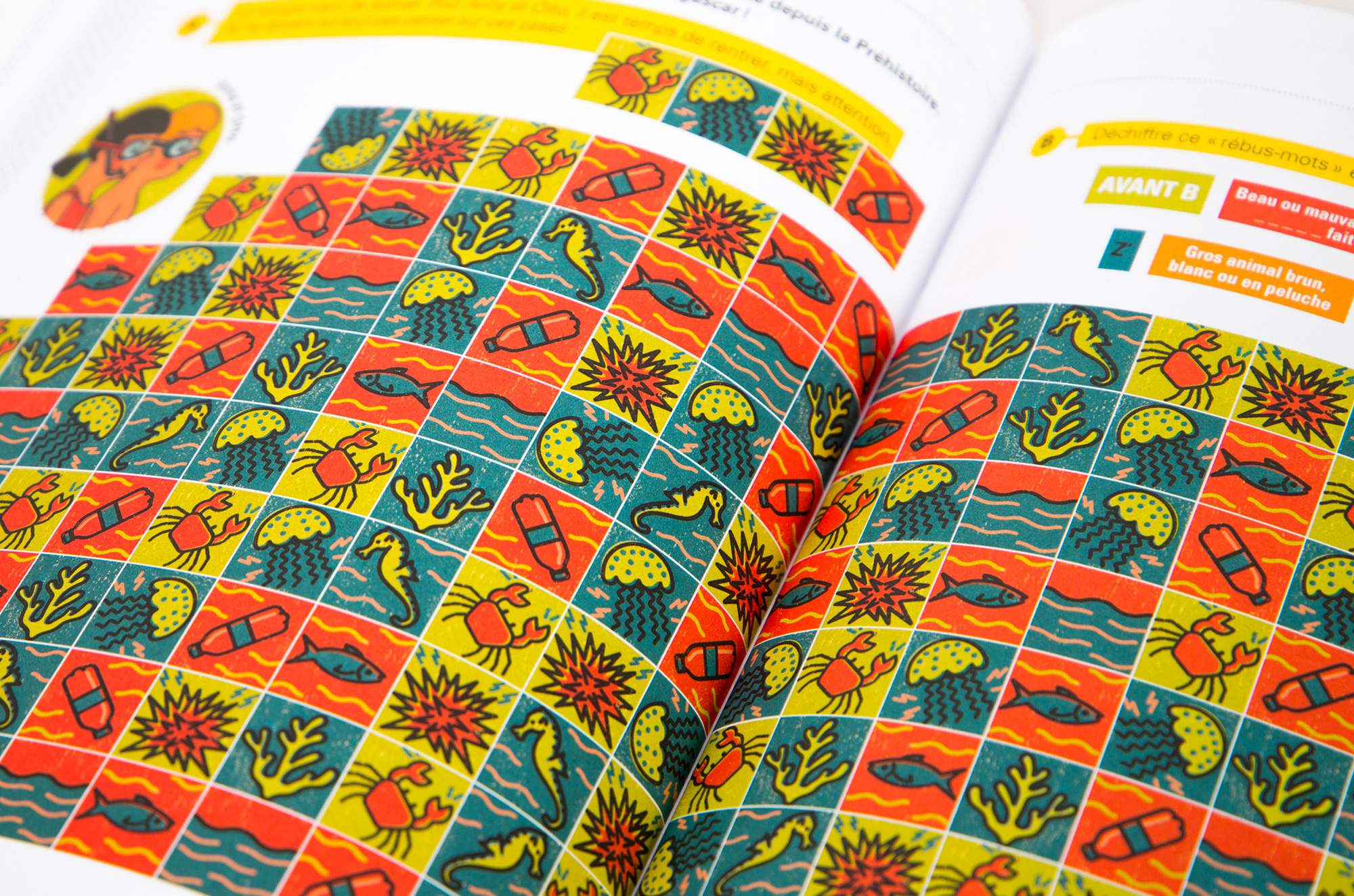 N° Coquillage N° Coquillage