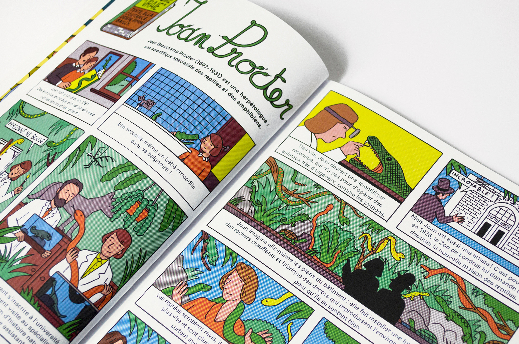 N° Caméléon N° Caméléon