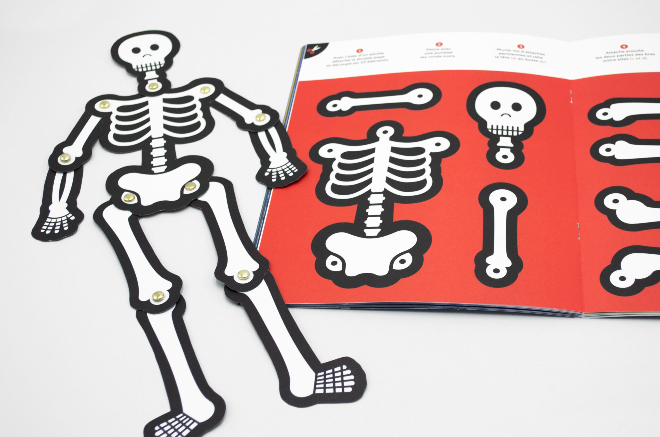 N° Même pas peur ! N° Même pas peur !