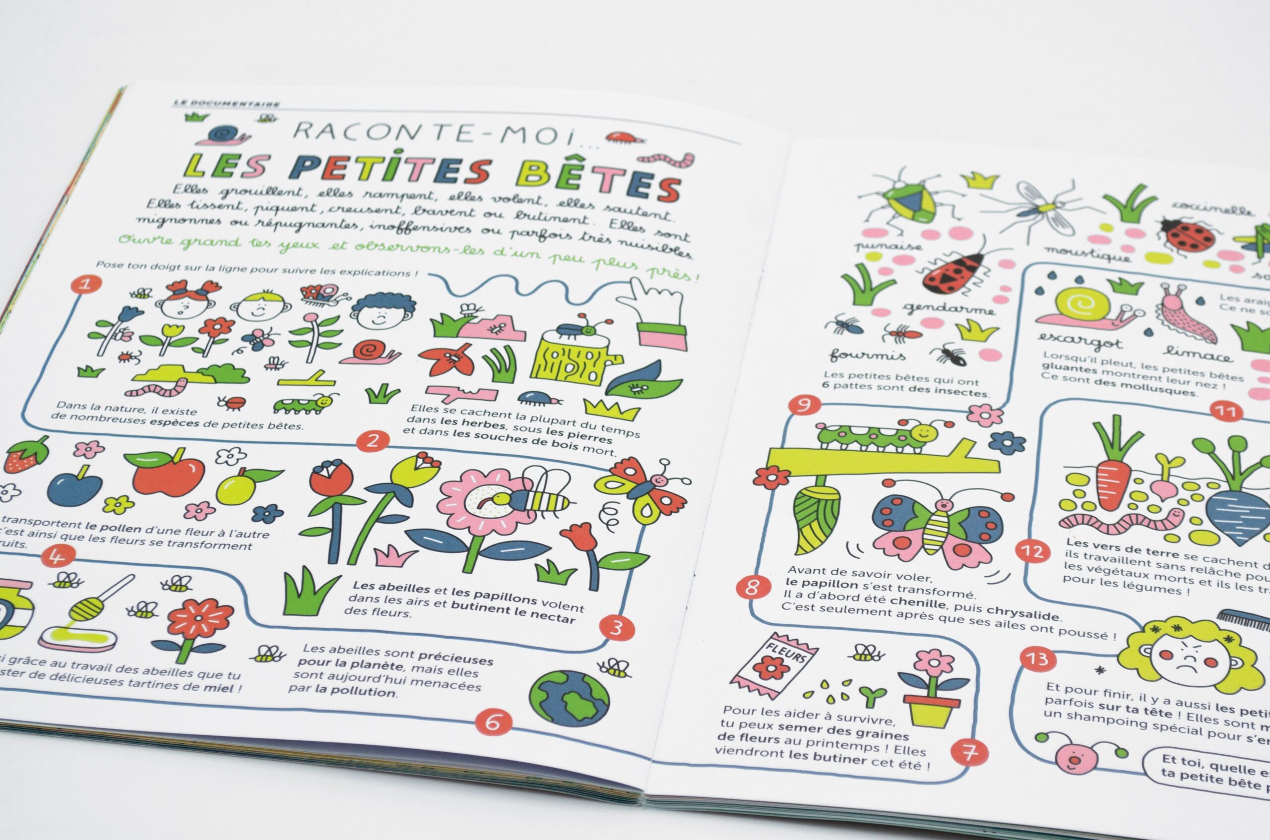 N° Les petites bêtes N° Les petites bêtes