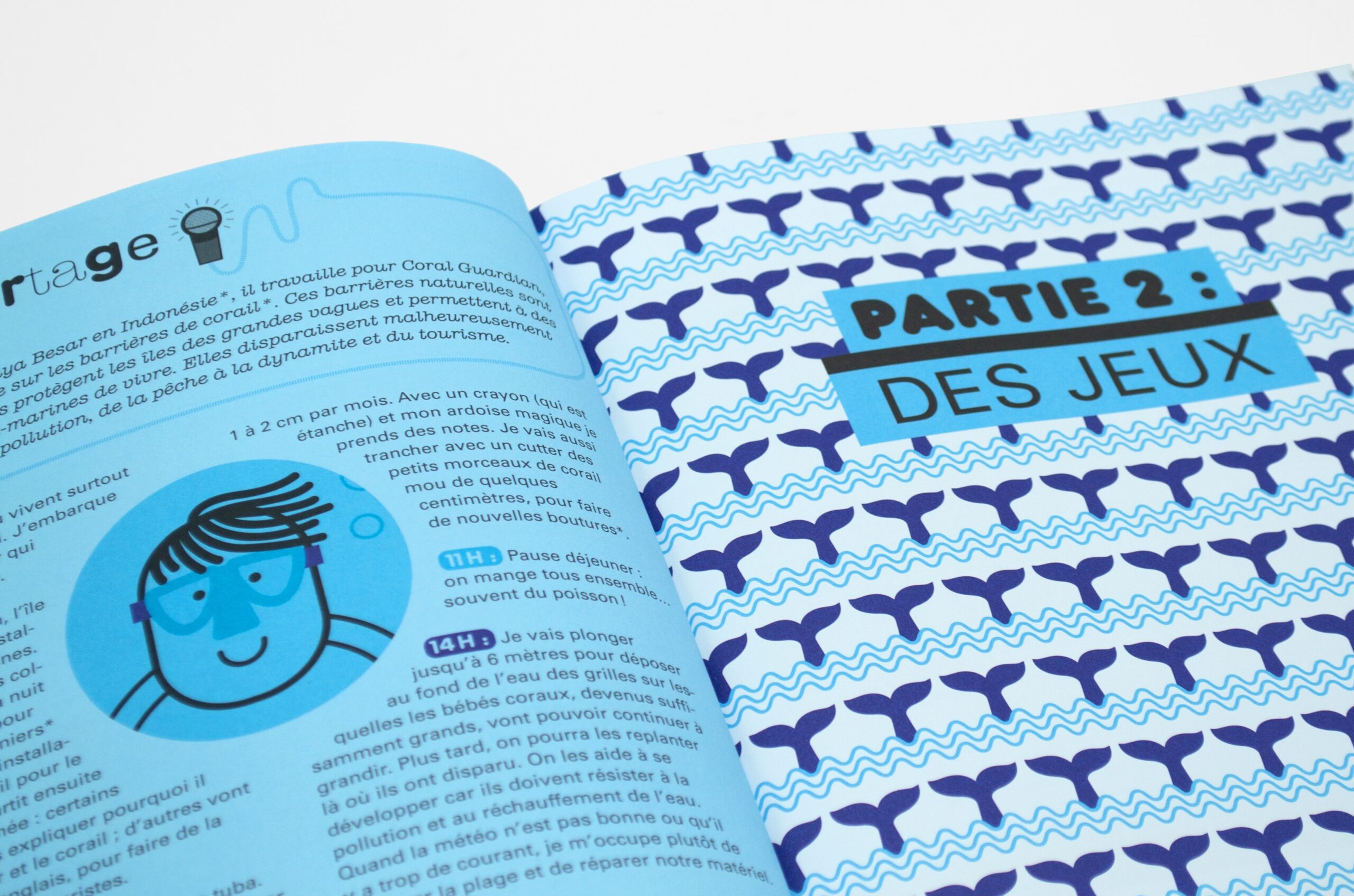 N° Baleine N° Baleine