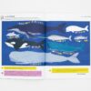 N° Baleine