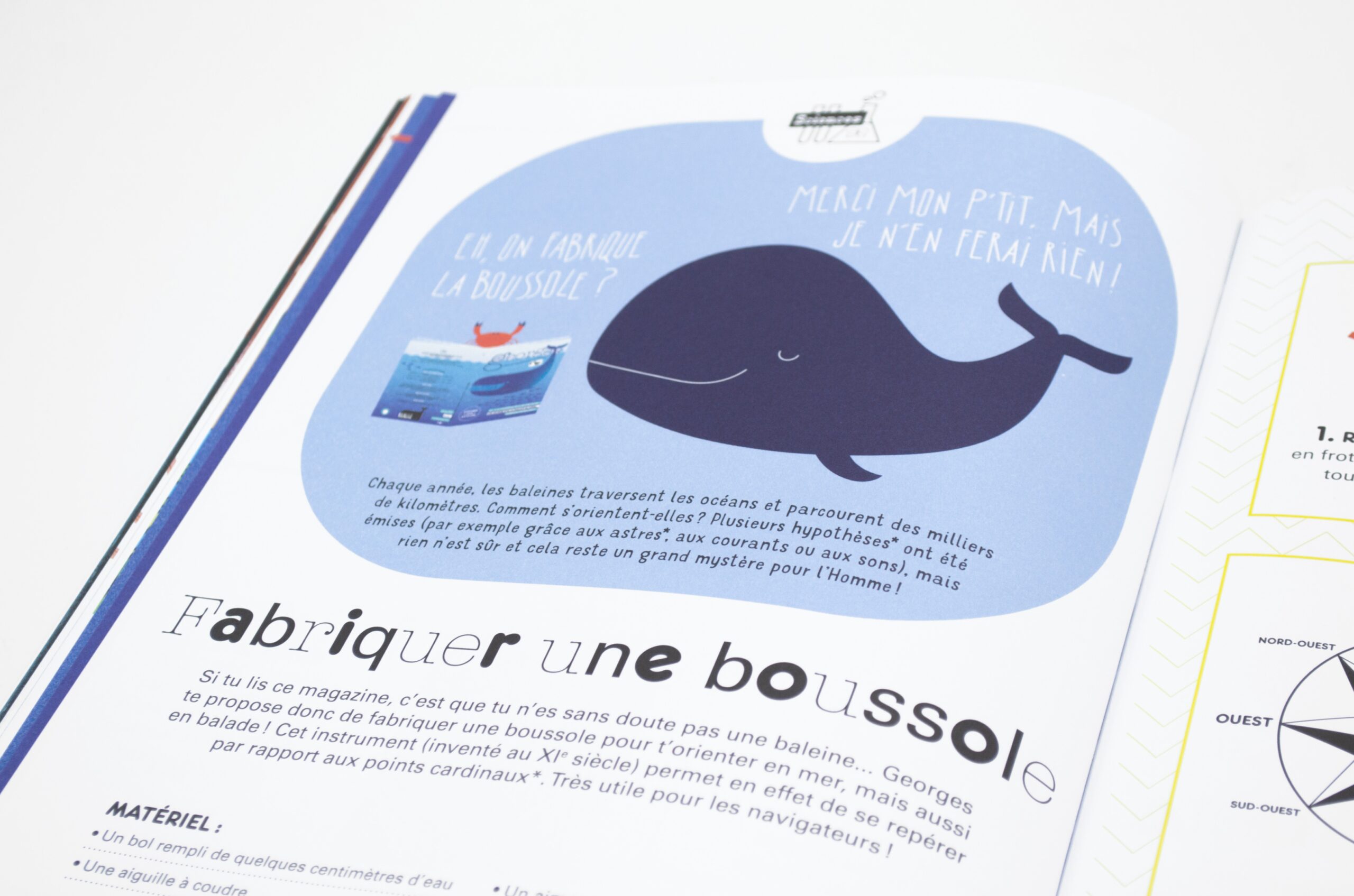 N° Baleine N° Baleine