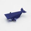 N° Baleine