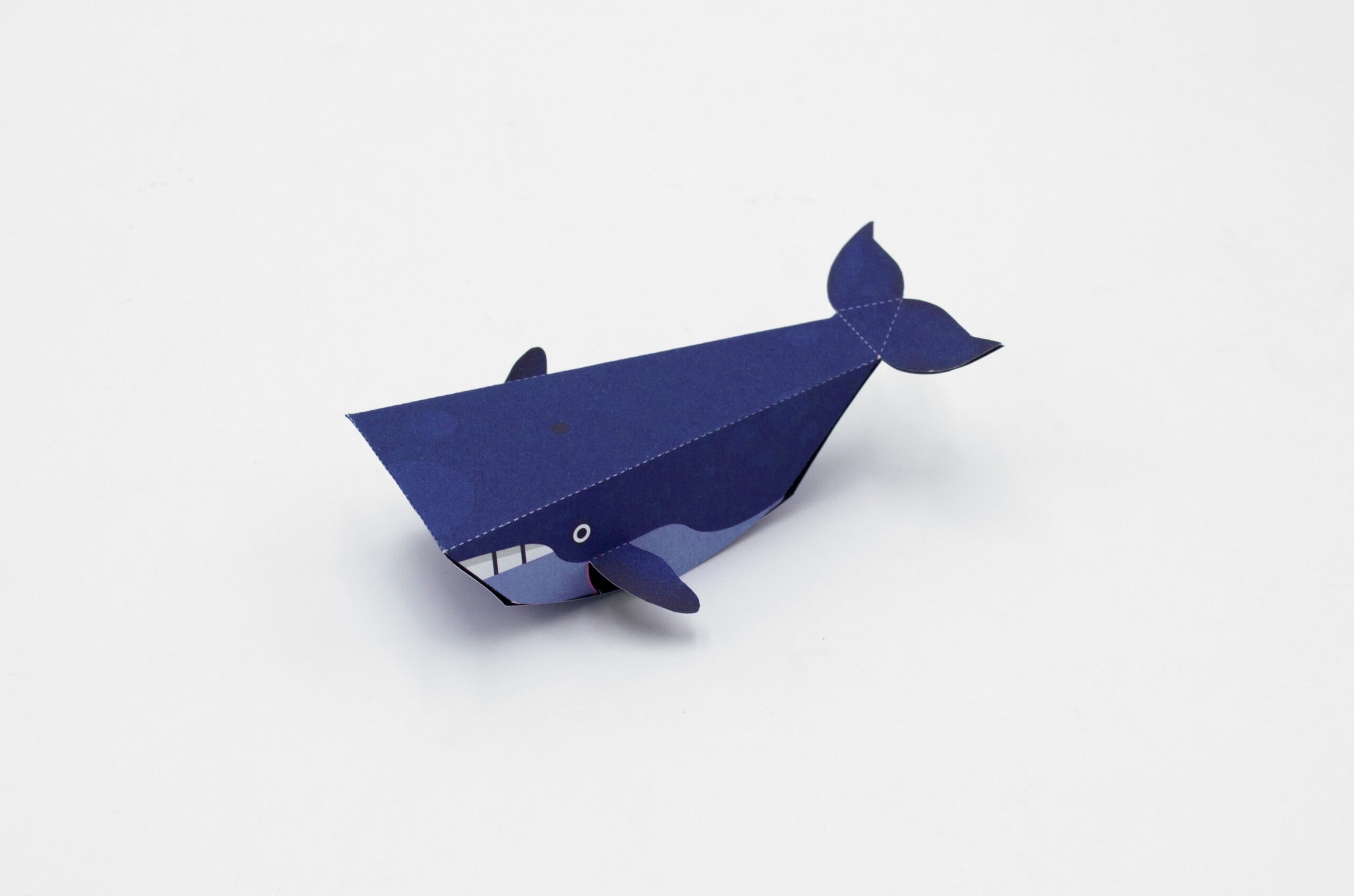 N° Baleine N° Baleine