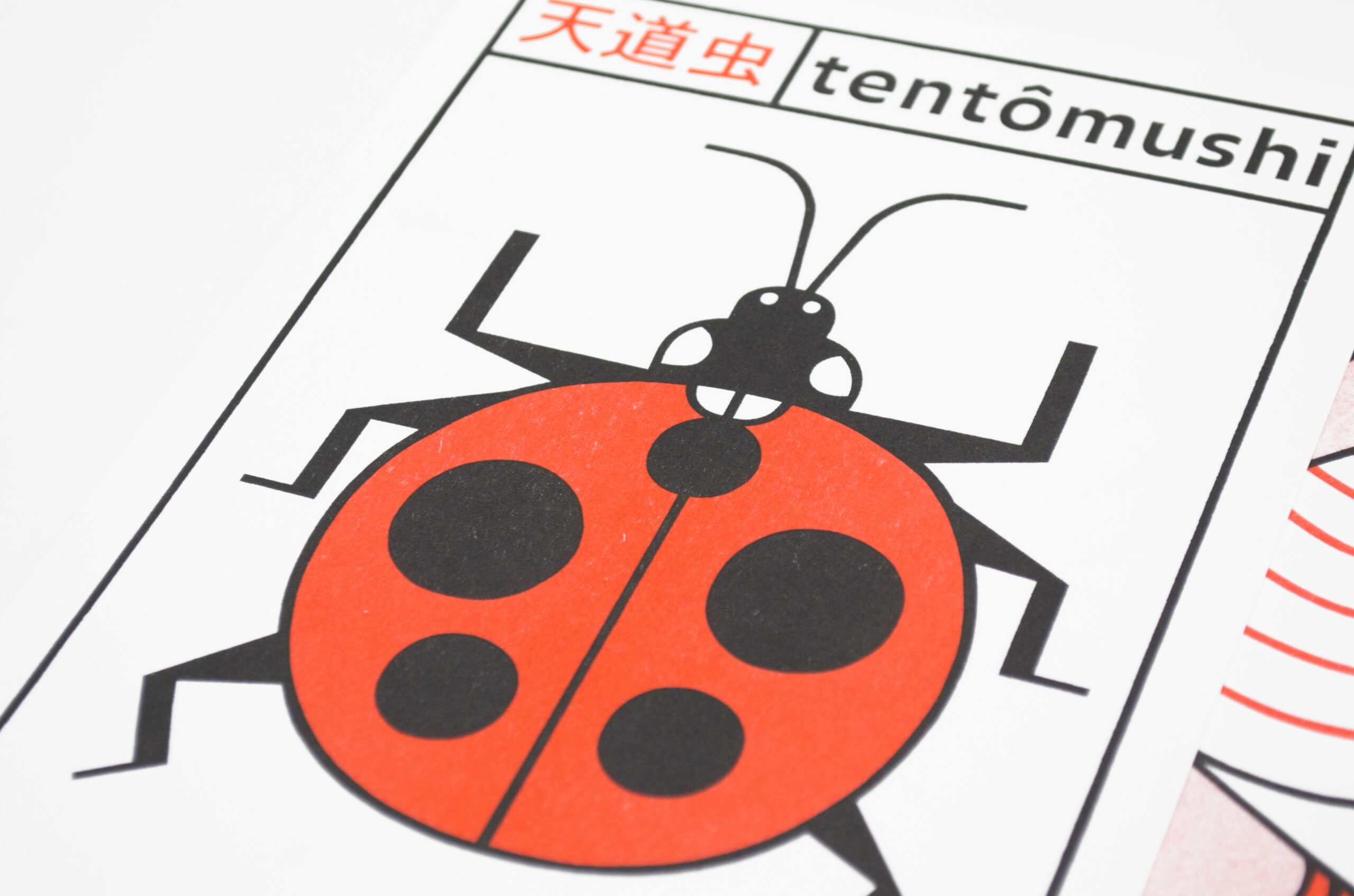 Leçons de choses 6 Leçons de choses 6