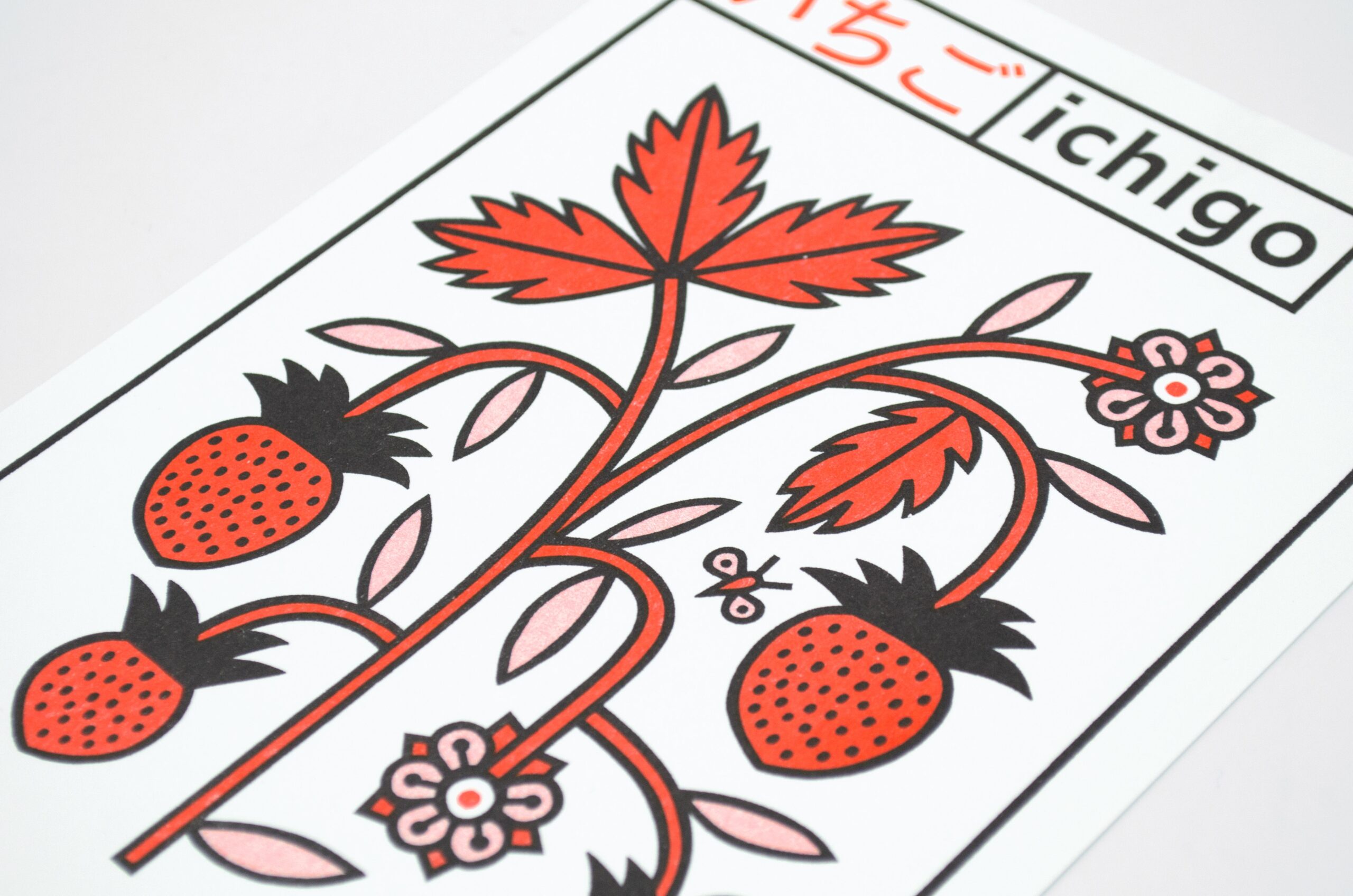 Leçons de choses 6 Leçons de choses 6