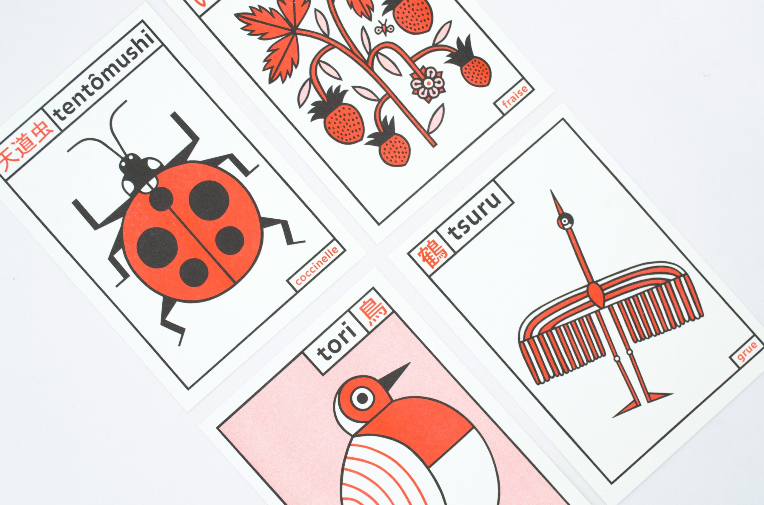 Leçons de choses 6 Leçons de choses 6