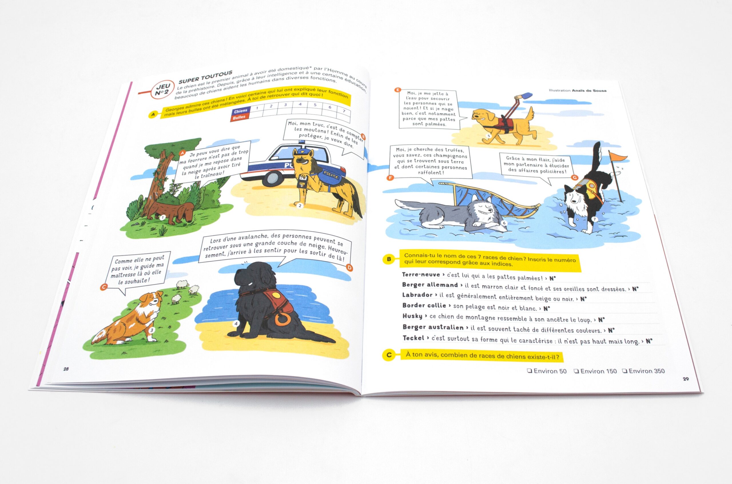 Coffret animaux Coffret animaux