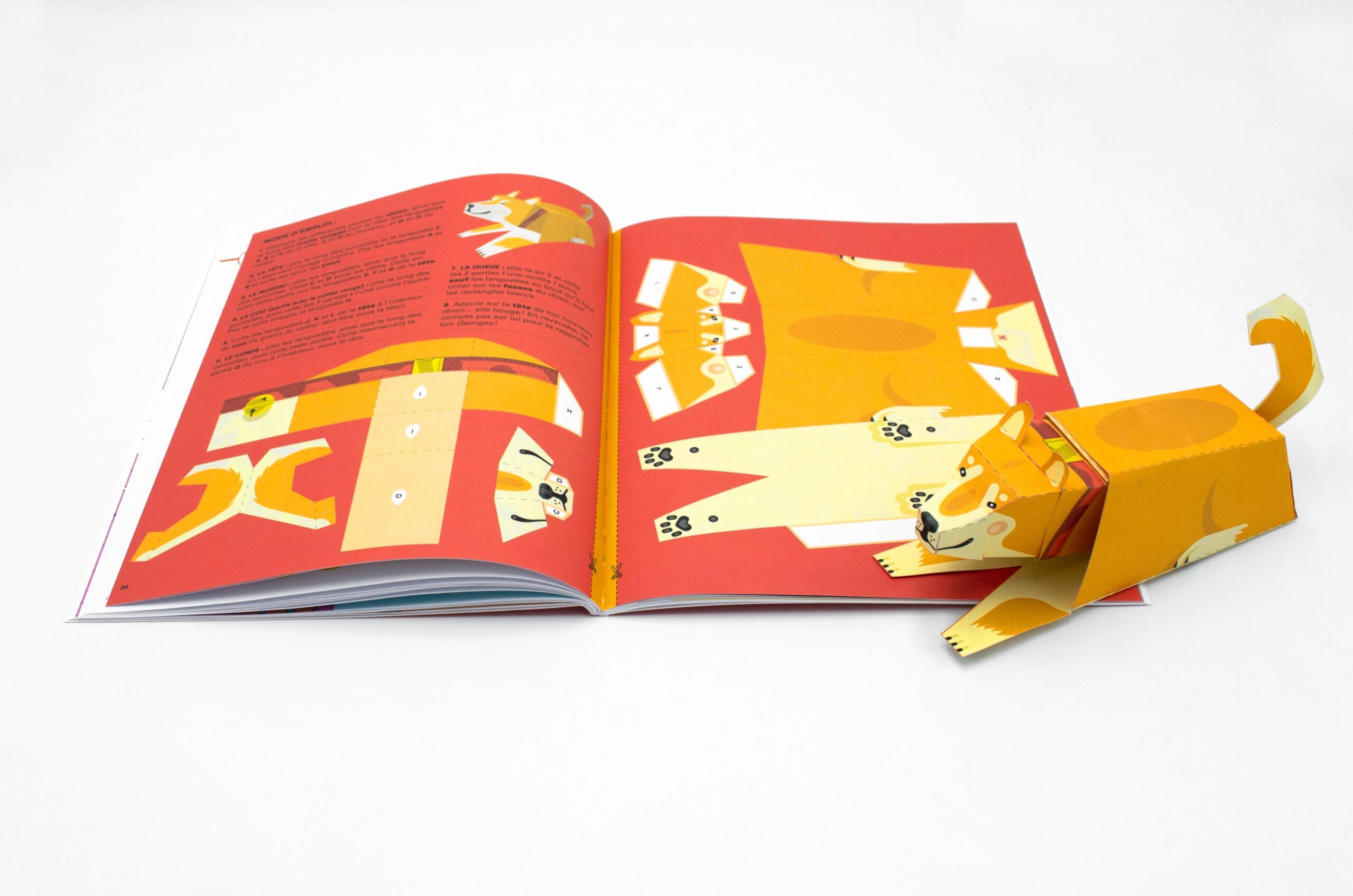 Coffret animaux Coffret animaux