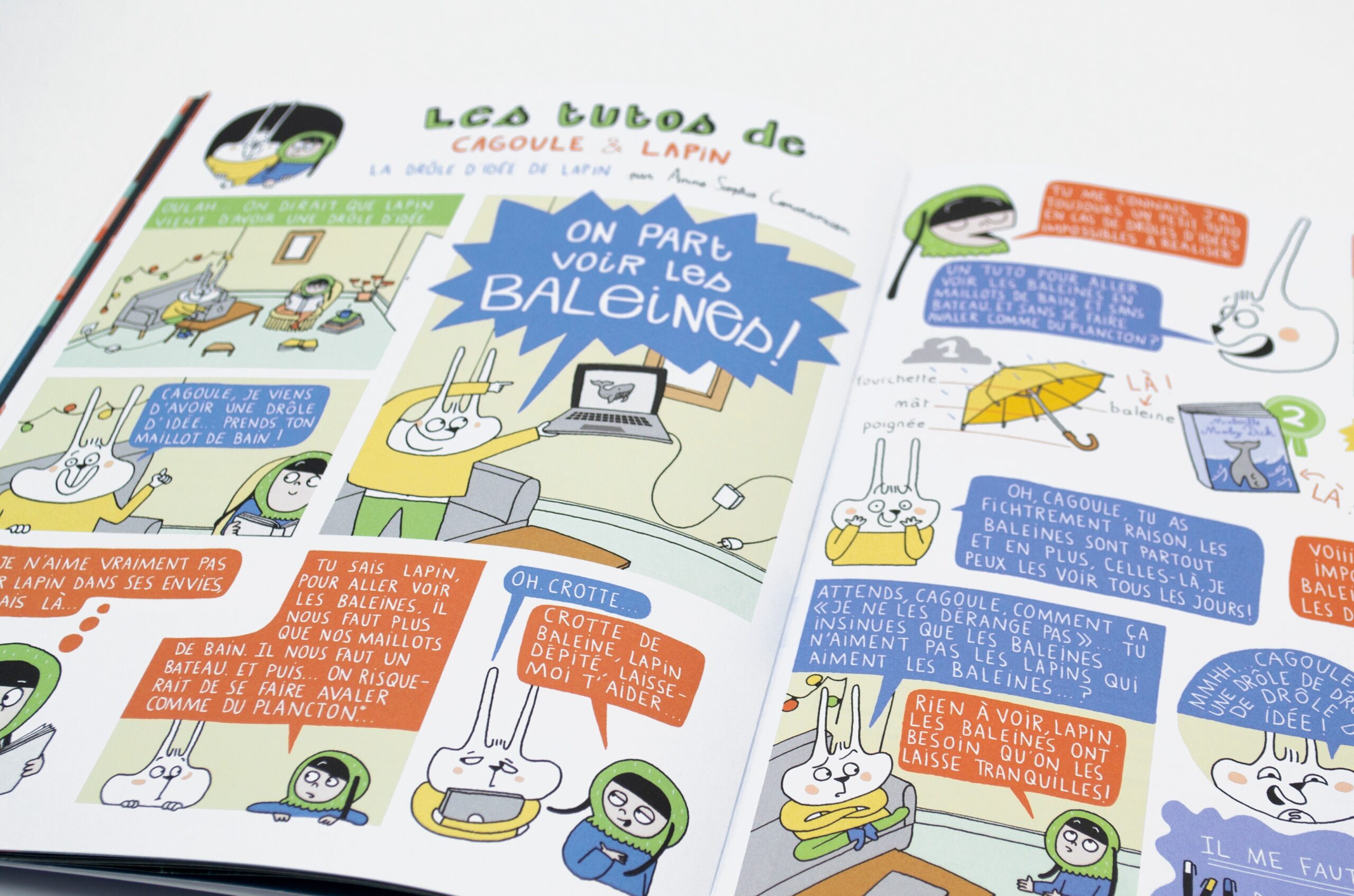 Coffret animaux Coffret animaux