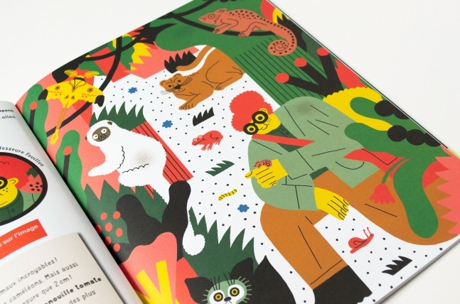 Coffret animaux Coffret animaux