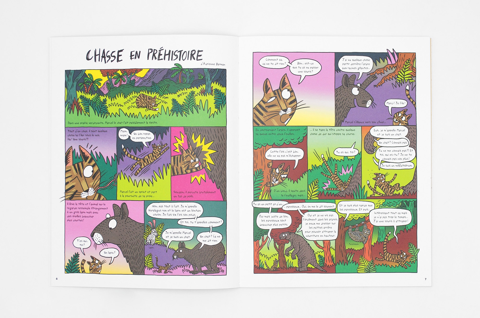 N° Préhistoire N° Préhistoire