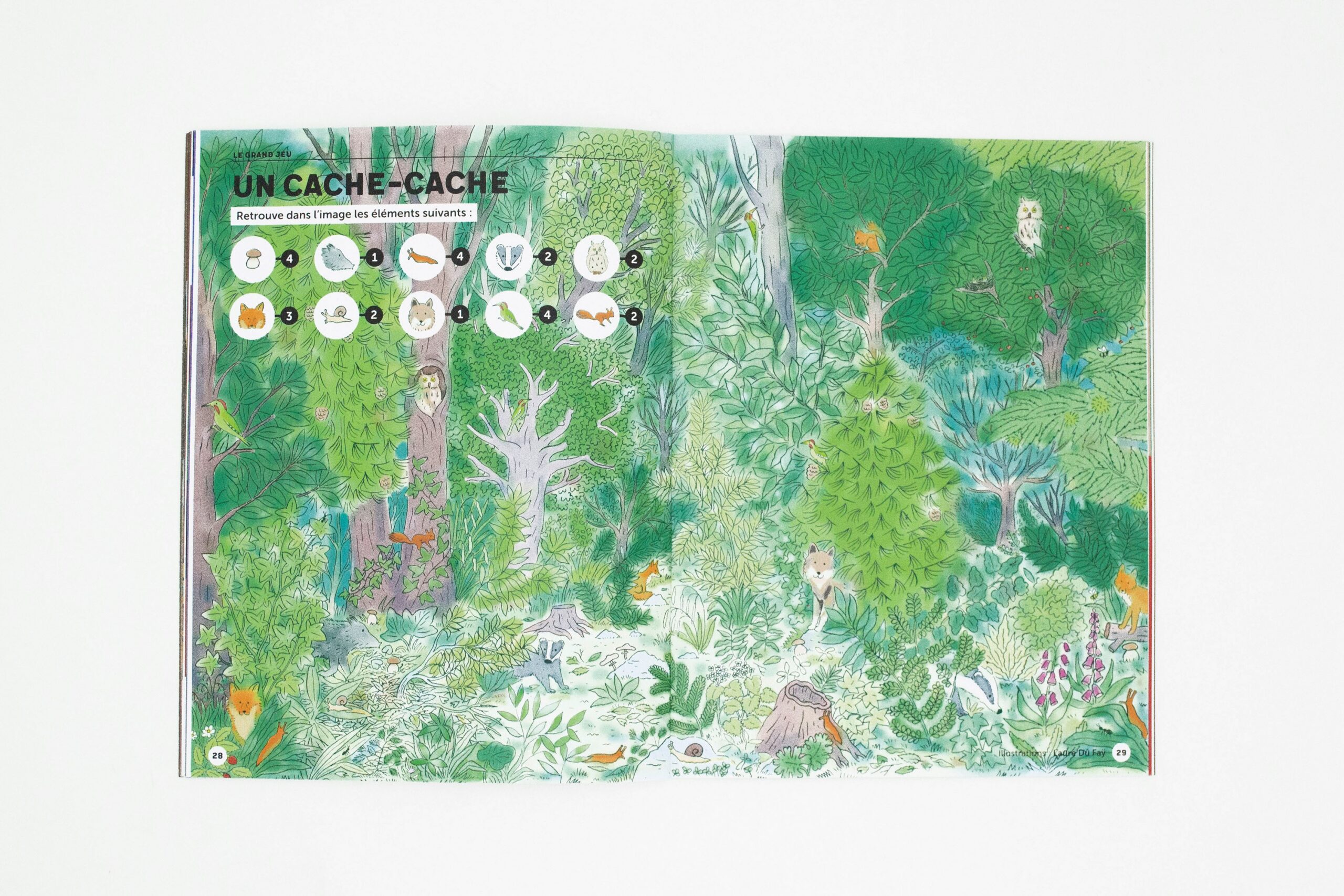 N° La forêt N° La forêt