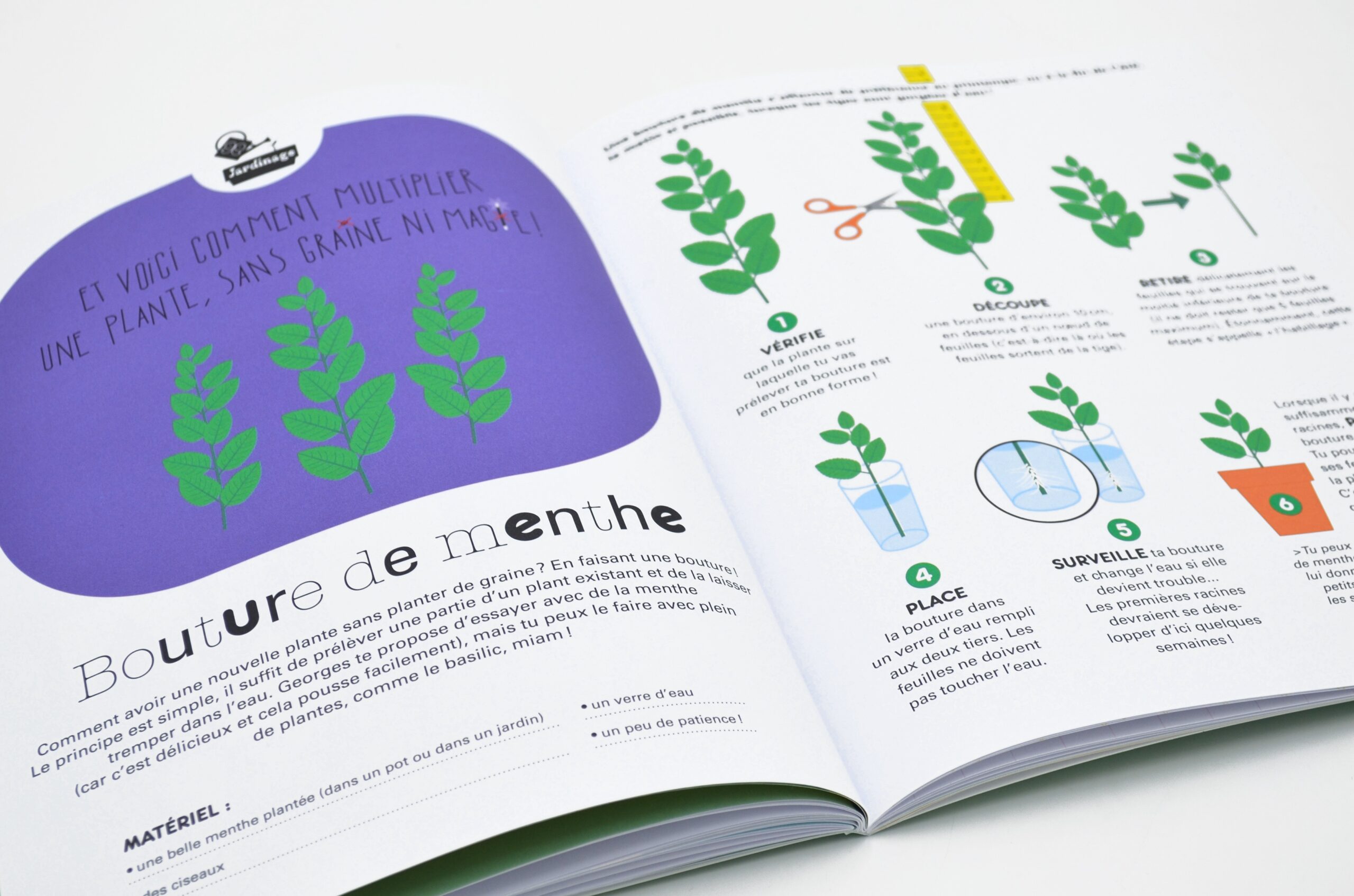 N° Écologie N° Écologie