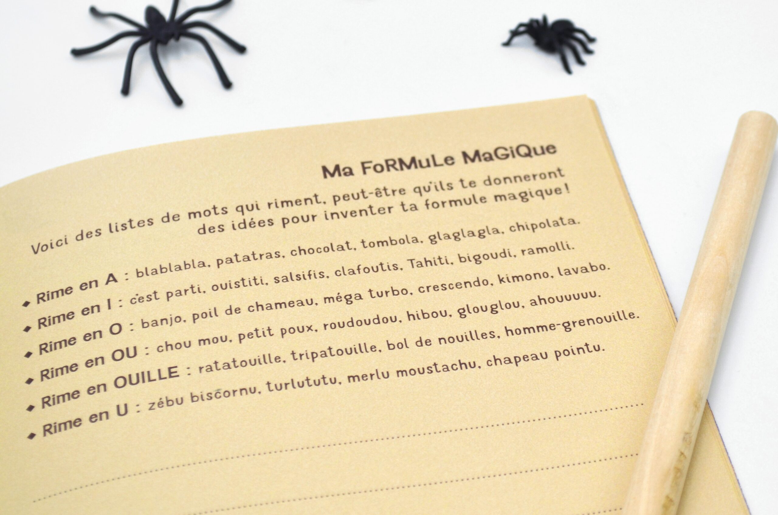 Pochette "Sorciers, sorcières"