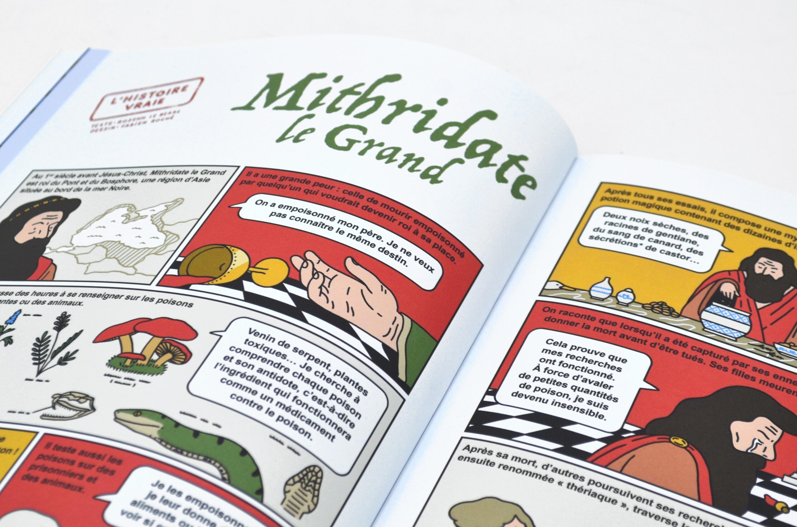 Pochette "Sorciers, sorcières"