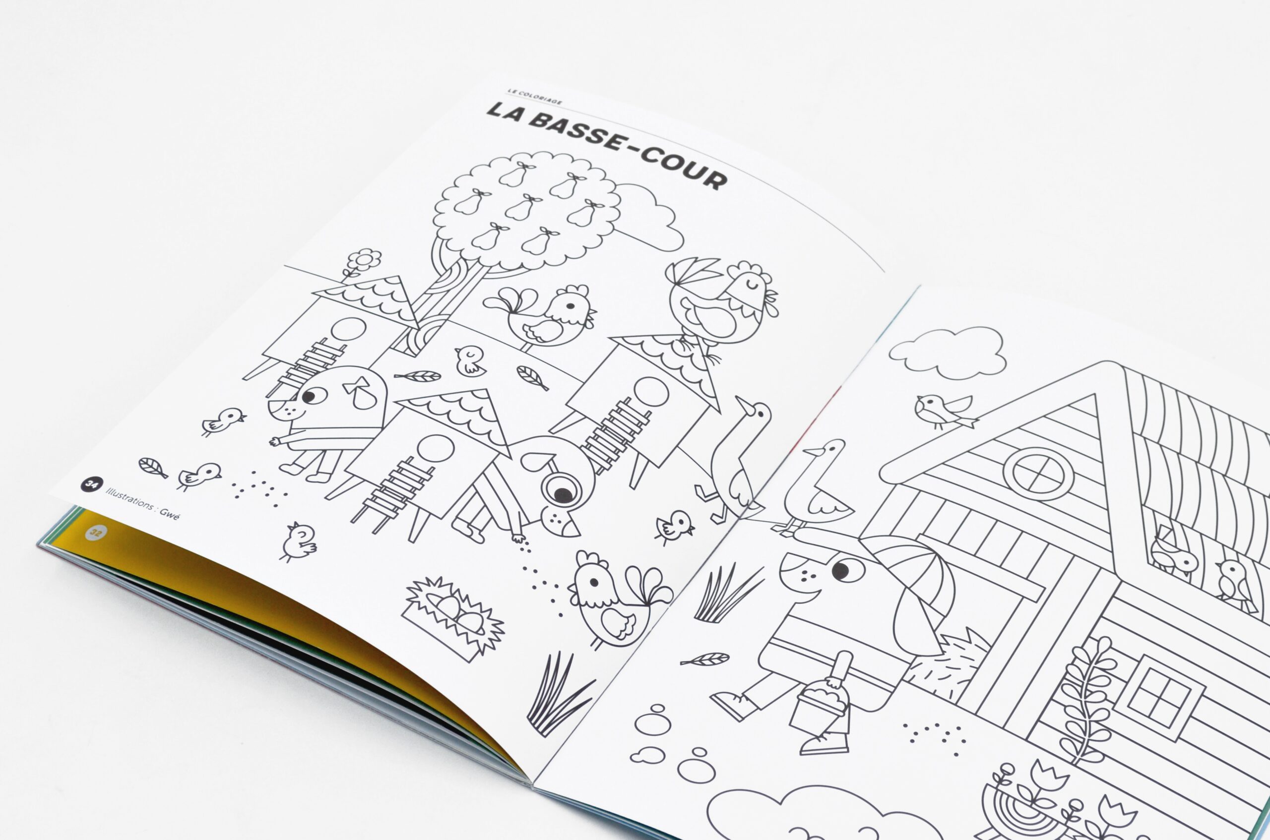 N° Les oiseaux N° Les oiseaux