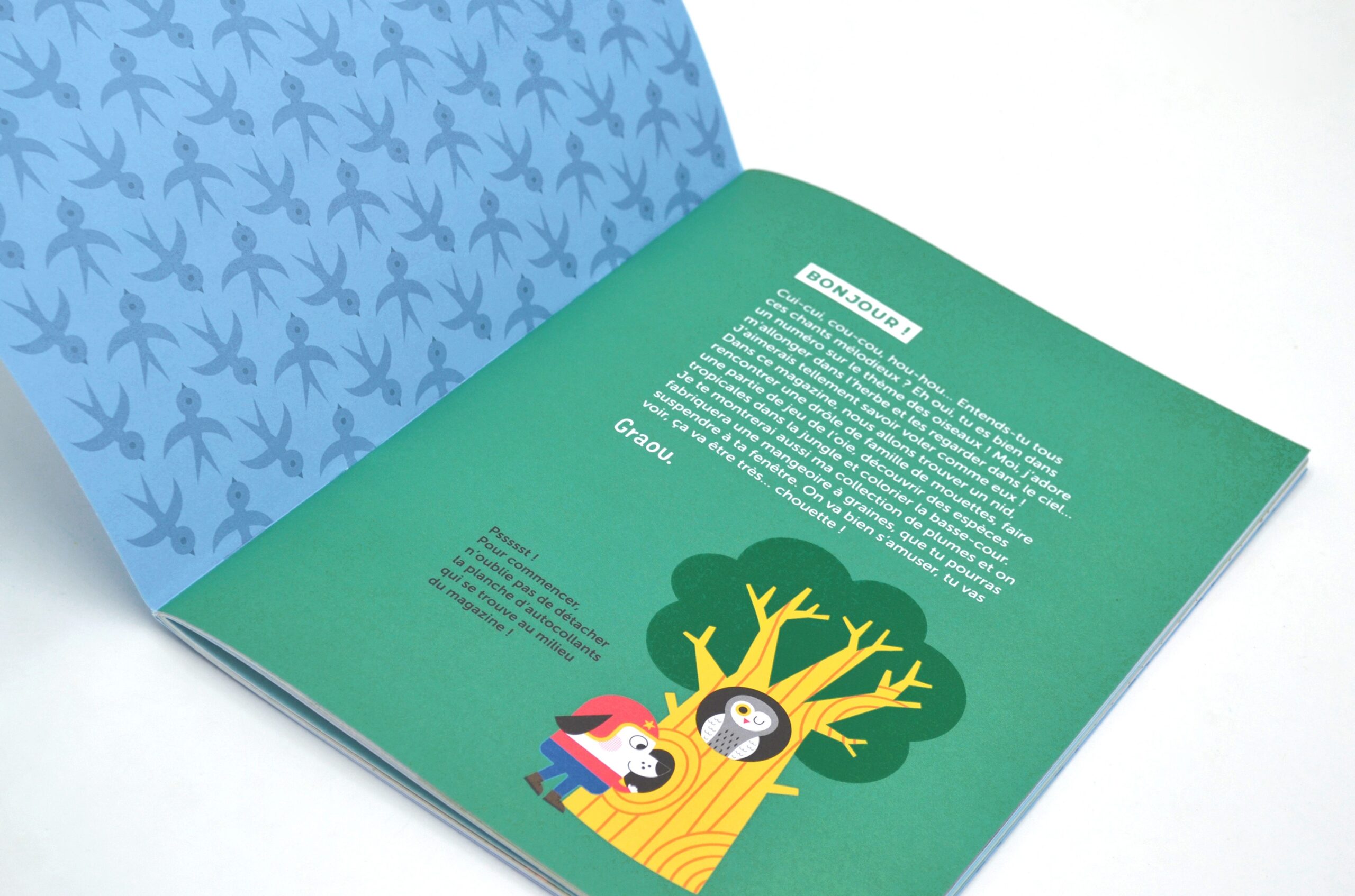 N° Les oiseaux N° Les oiseaux