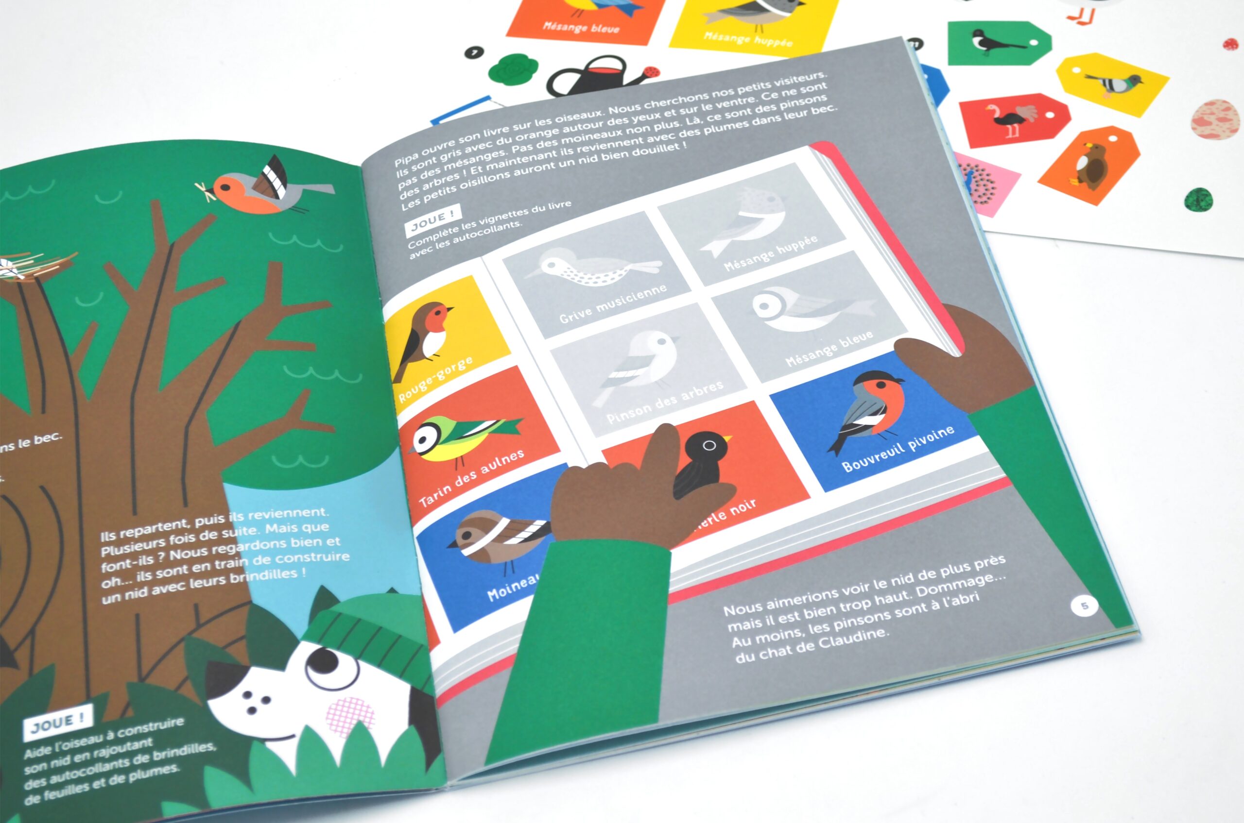 N° Les oiseaux N° Les oiseaux