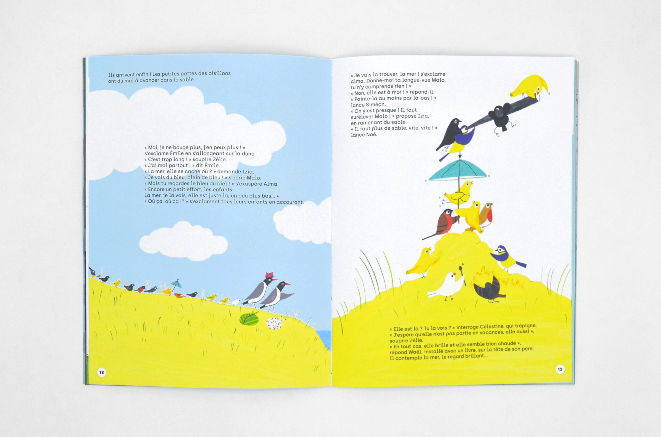 N° Les oiseaux N° Les oiseaux