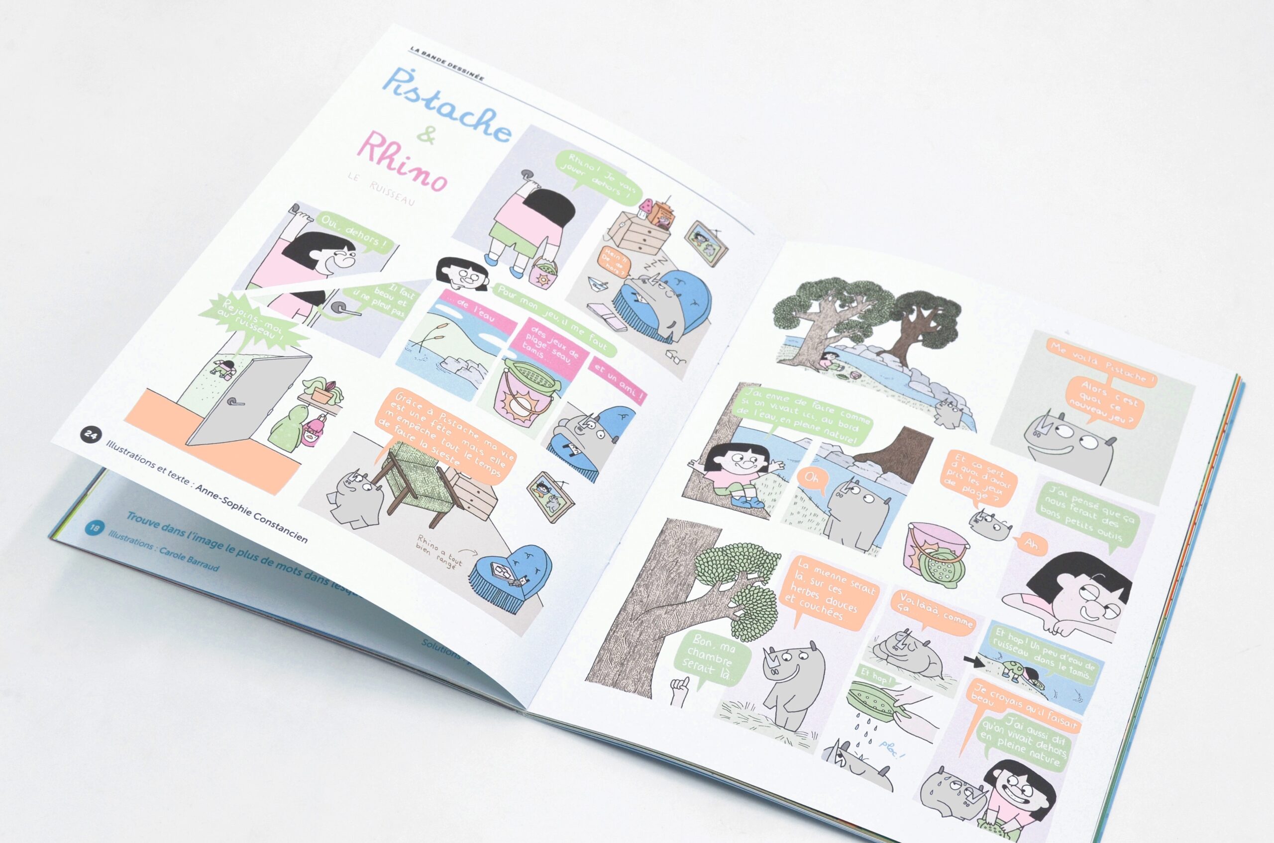 N° Les oiseaux N° Les oiseaux