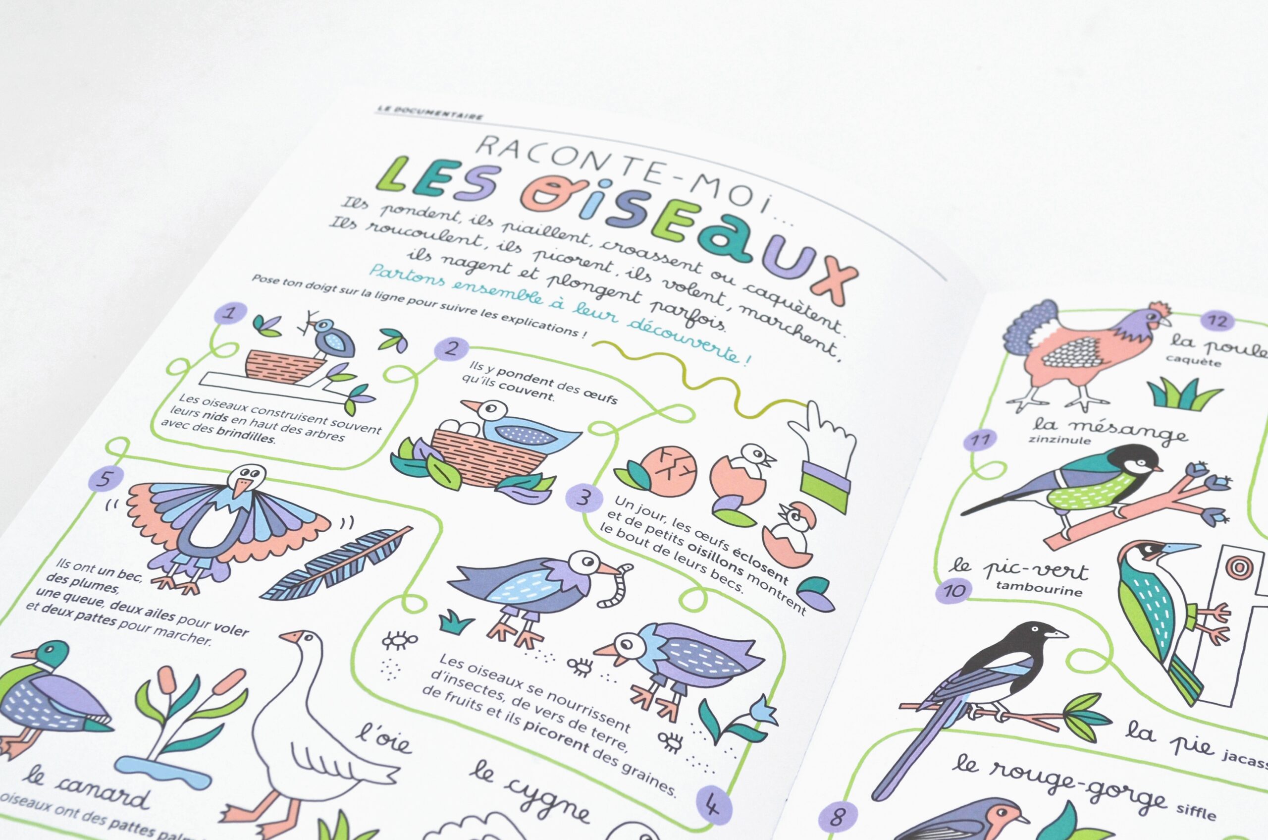 N° Les oiseaux N° Les oiseaux