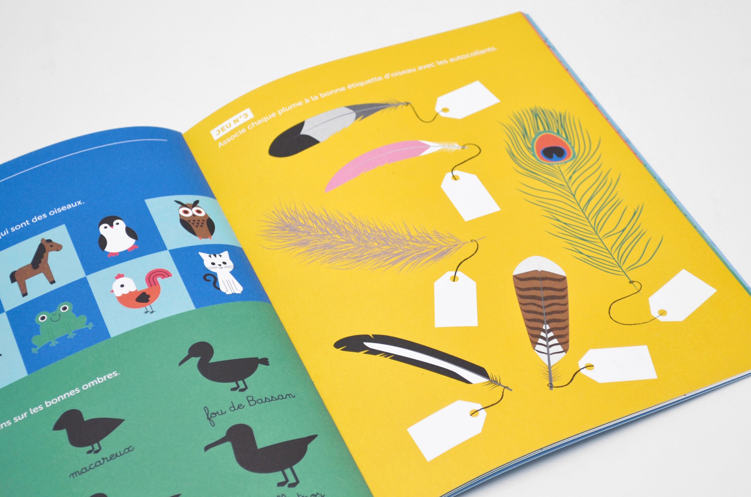 N° Les oiseaux N° Les oiseaux