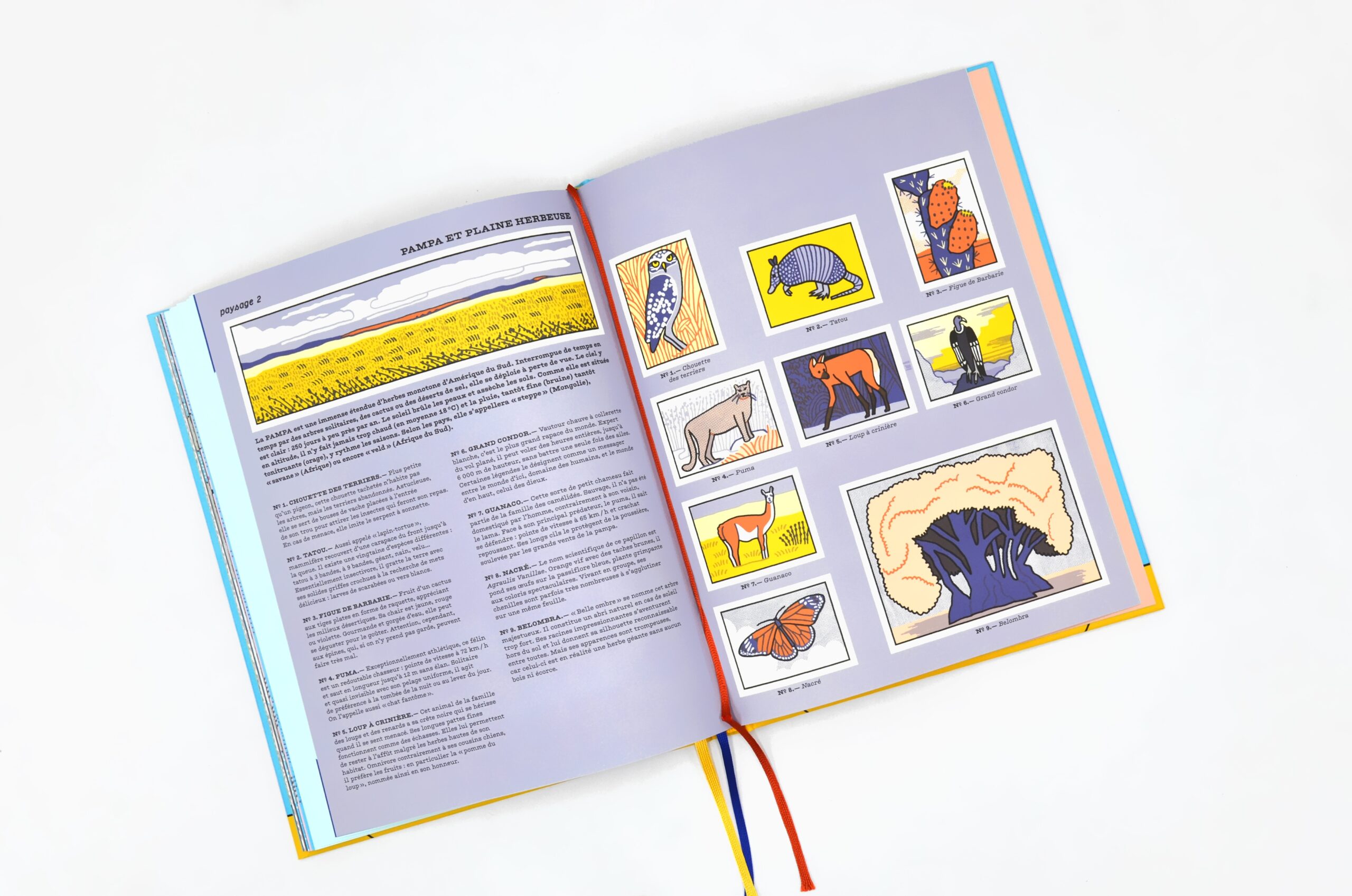 Mon nom est billy des nuages Mon nom est billy des nuages