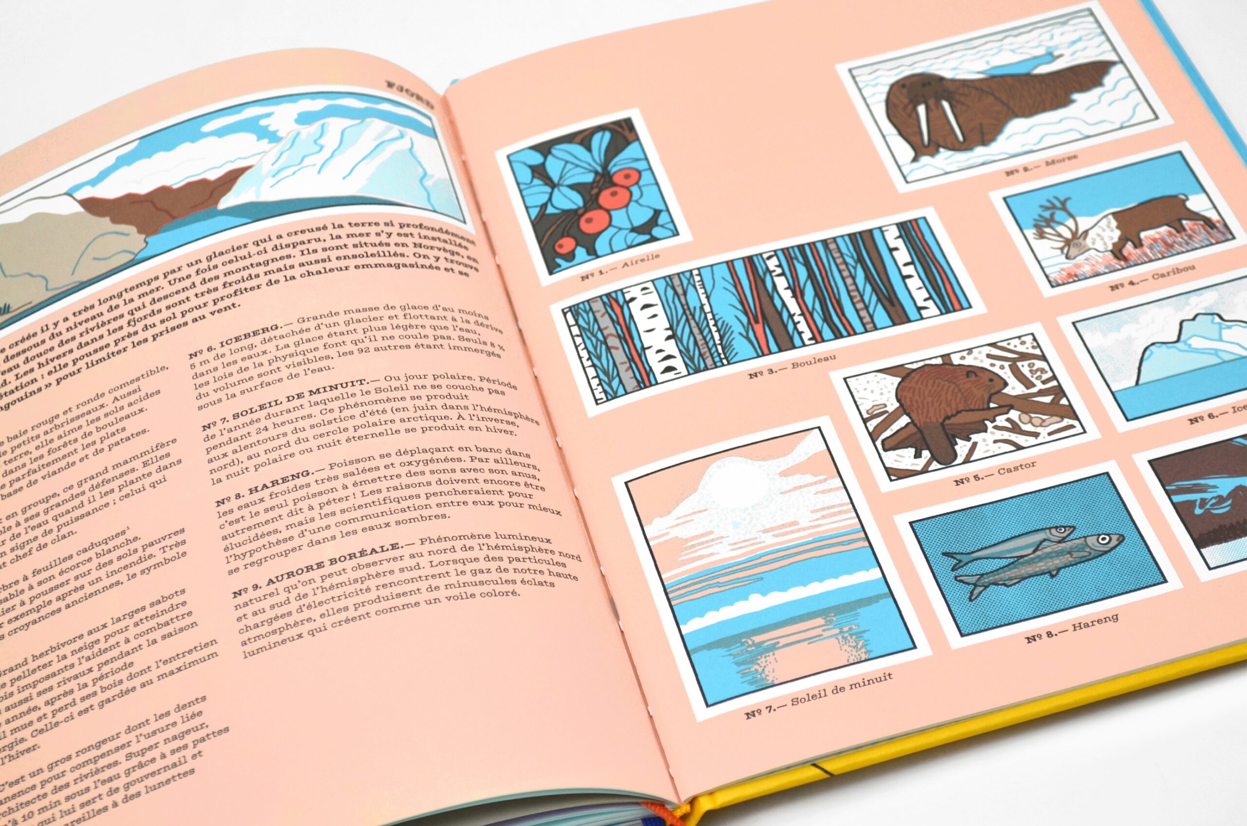 Mon nom est billy des nuages Mon nom est billy des nuages