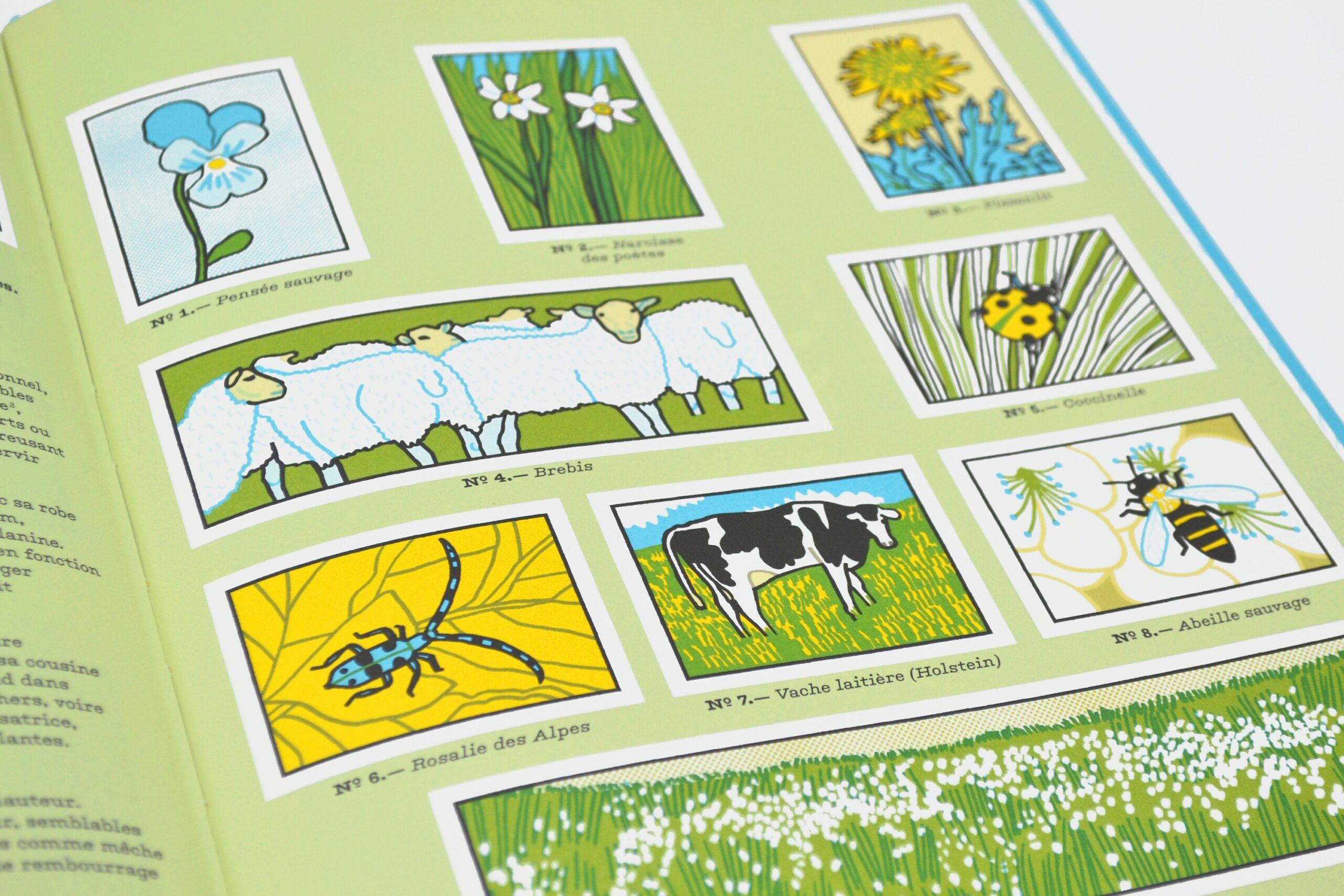 Mon nom est billy des nuages Mon nom est billy des nuages