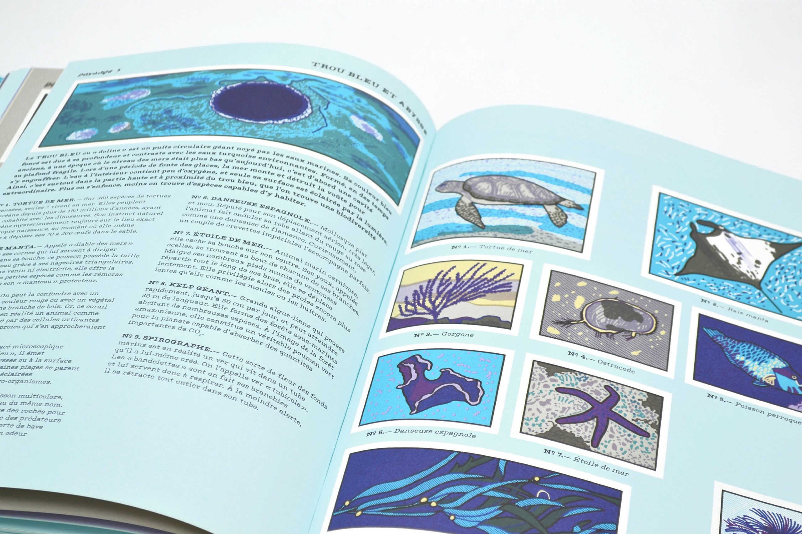 Mon nom est billy des nuages Mon nom est billy des nuages