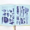 Pack "Mon nom est billy des nuages" livre + vinyle