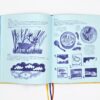 Pack "Mon nom est billy des nuages" livre + vinyle